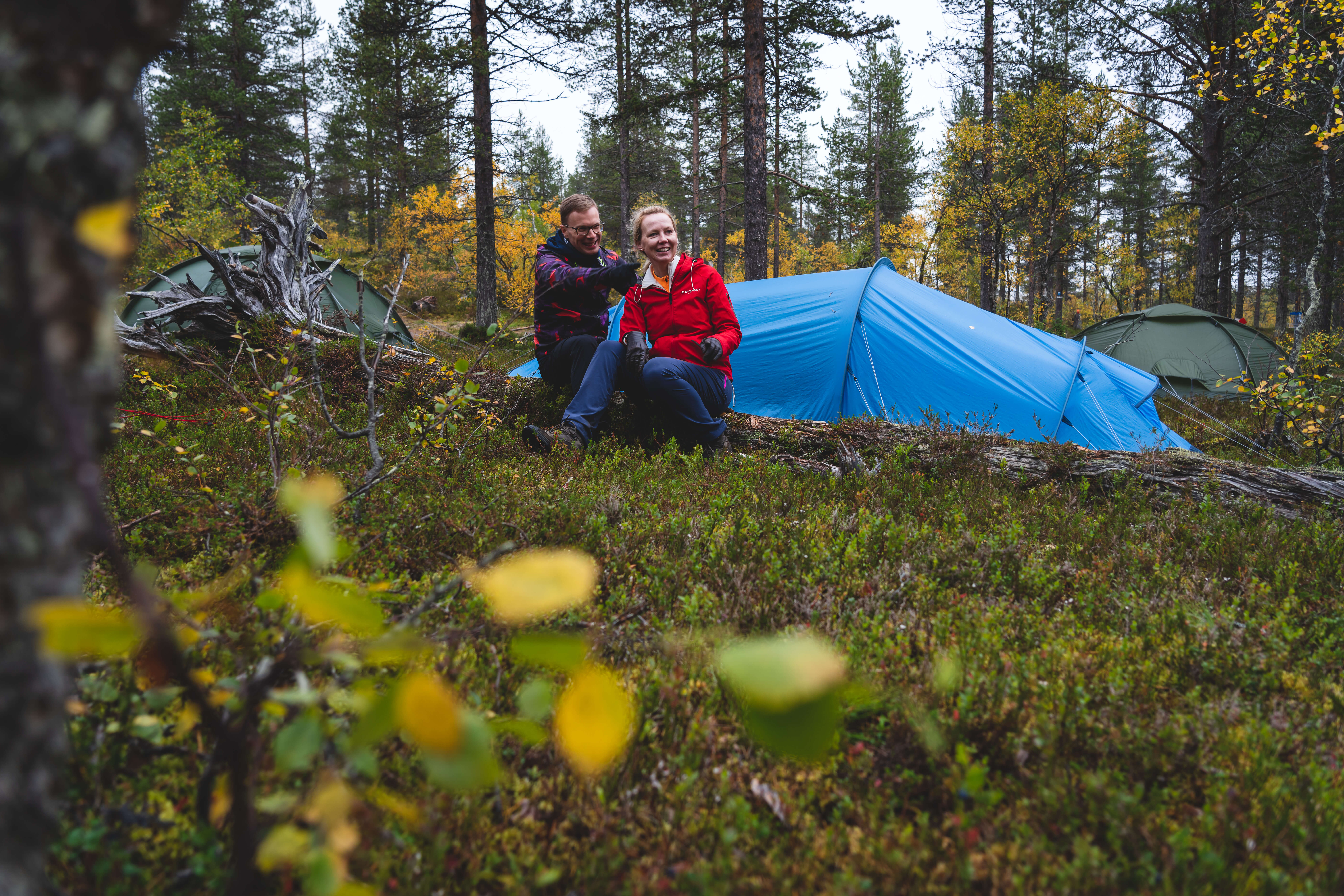 Tänä vuonna Metsähotelli järjestetään taas Kiilopäällä. Kuva: Sampsa Sulonen.