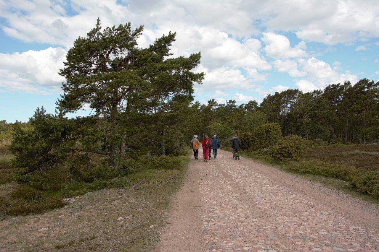 Vuonna 2015 Örö liitettiin osaksi Saaristomeren kansallispuistoa ja sitä alettiin kehittää luontomatkailukeskukseksi.