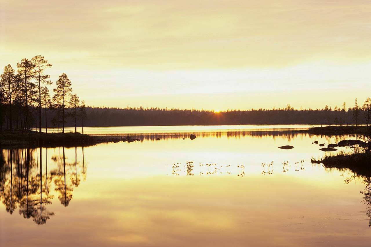 [01] Øvre Pasvik. Erämaiset järvet kuuluvat maisemaan Pasvikin laaksossa. Kuva: Vladimir Stejskal / Purestock.
