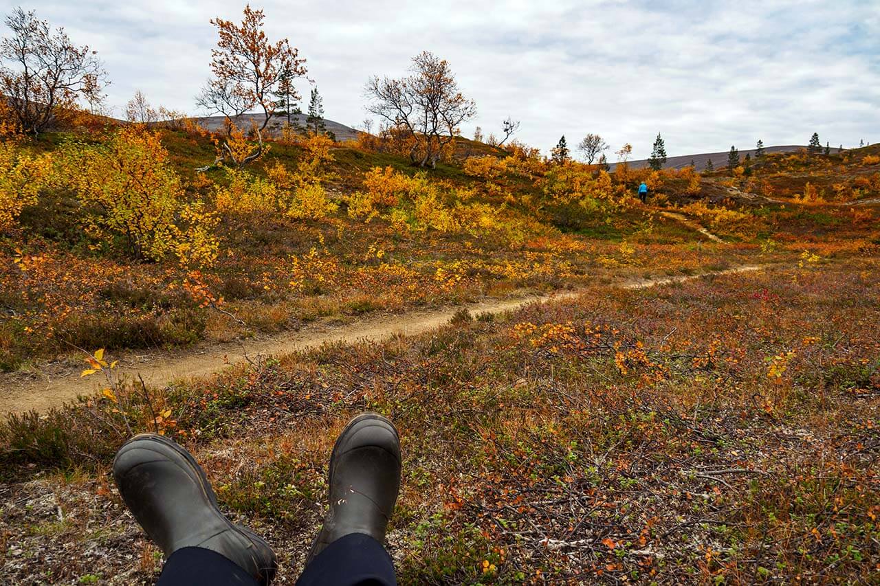 Kuva: Sampsa Sulonen.