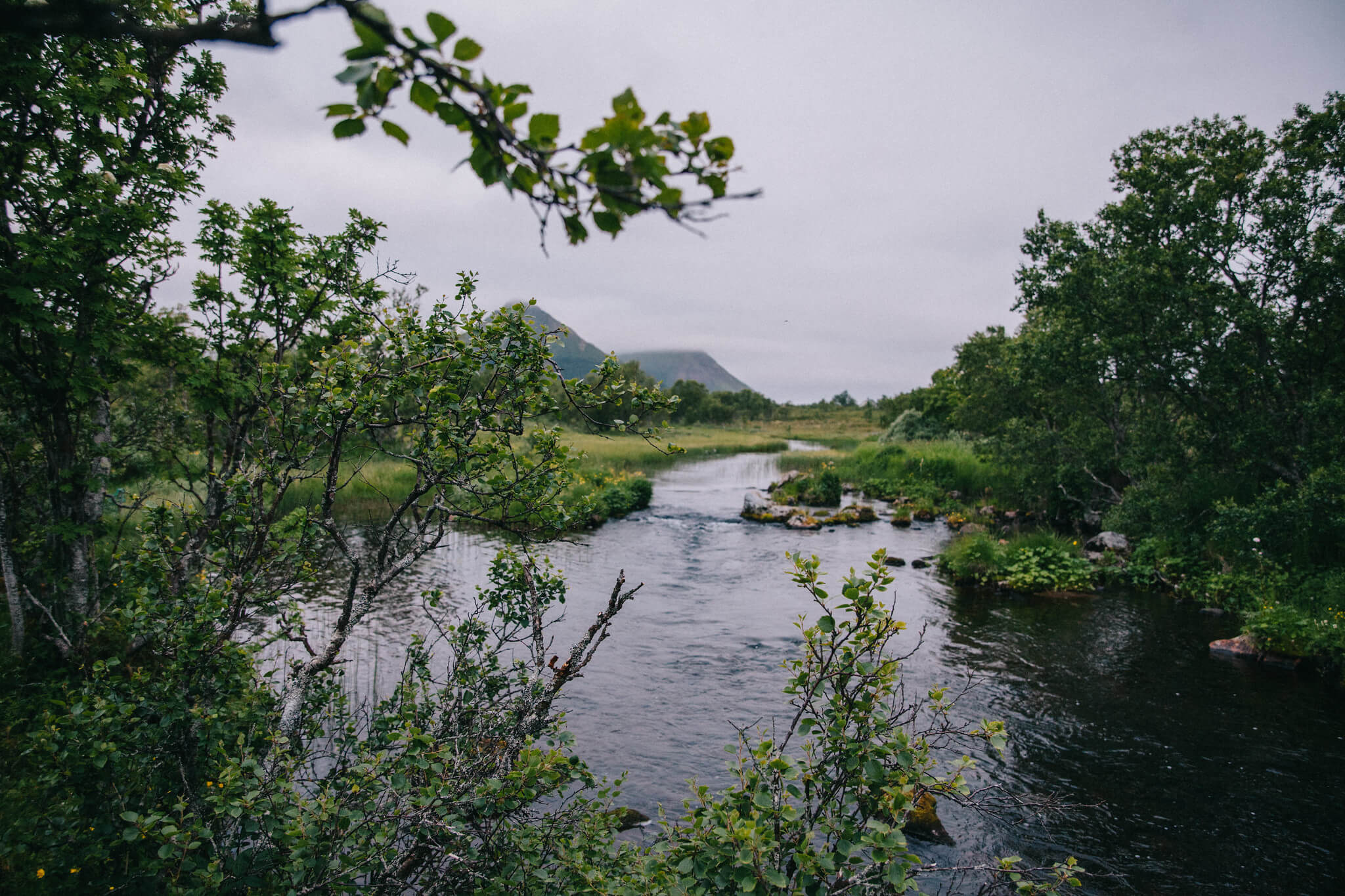Paikallinen lohijoki. Kuva: Marinella Himari.