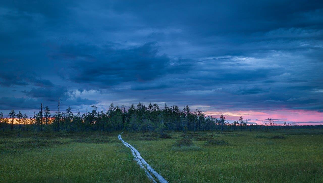 Patvinsuon elokuiset iltavalot. Kuva: Heikki Saari.