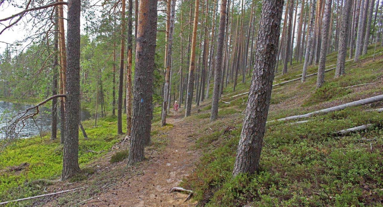 Pesiön retkeilyreitti kulkee Hiidenvaaran luonnonsuojelualueen halki.
