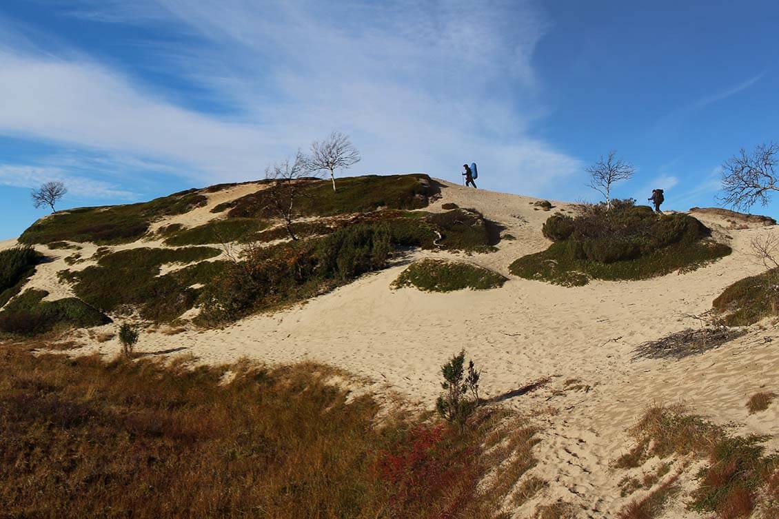 Pöyrisjärvellä on valkeita hietikoita ja harjuja. Kuva: Jouni Laaksonen.