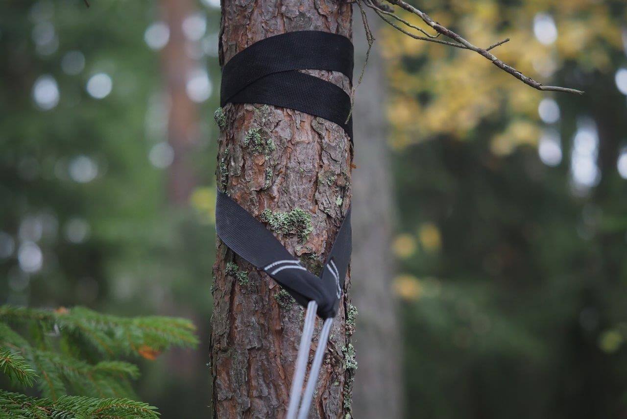 Puunhalaajat. Riippumattoilija kunnioittaa puita kaikin tavoin, koska puut mahdollistavat riippujalle nautinnollisen majapaikan. Useimpien mattojen omat kiinnitysköydet jättävät puuhun urat ja siksi leveät puunhalaajat ovat suositeltava hankinta. Omasta varustevarastosta mahdollisesti löytyvät kuormaliinat ajavat asian mainiosti. Kuvat: Terhi Ilosaari.