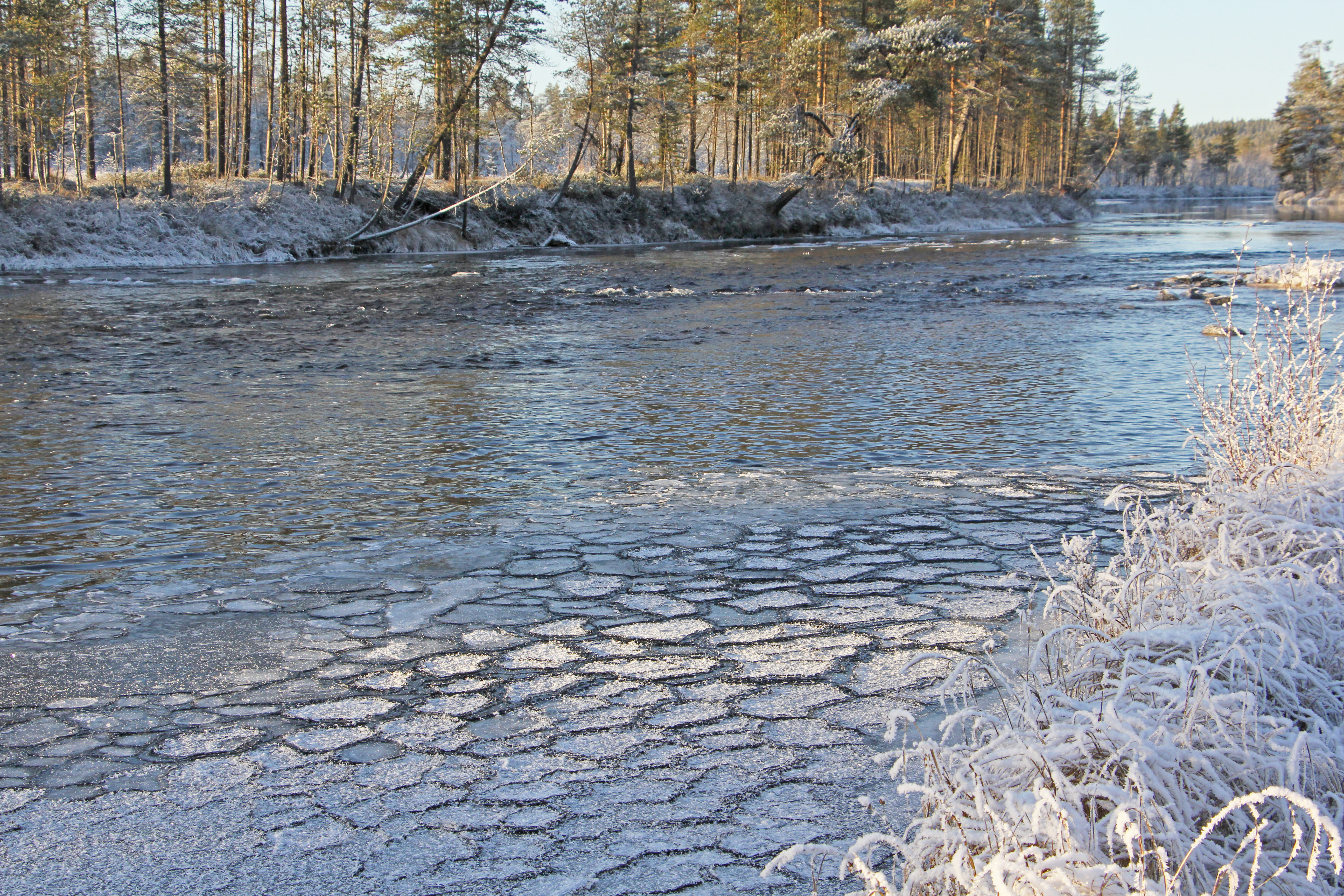 Luttojoen latvat sijaitsevat Saariselän ja Sarmitunturin erämaa-alueen välissä. Venäjän puolella joki yhtyy suureen Tuulomajokeen. Tämä puolestaan laskee Jäämereen Muurmanskin lähellä.