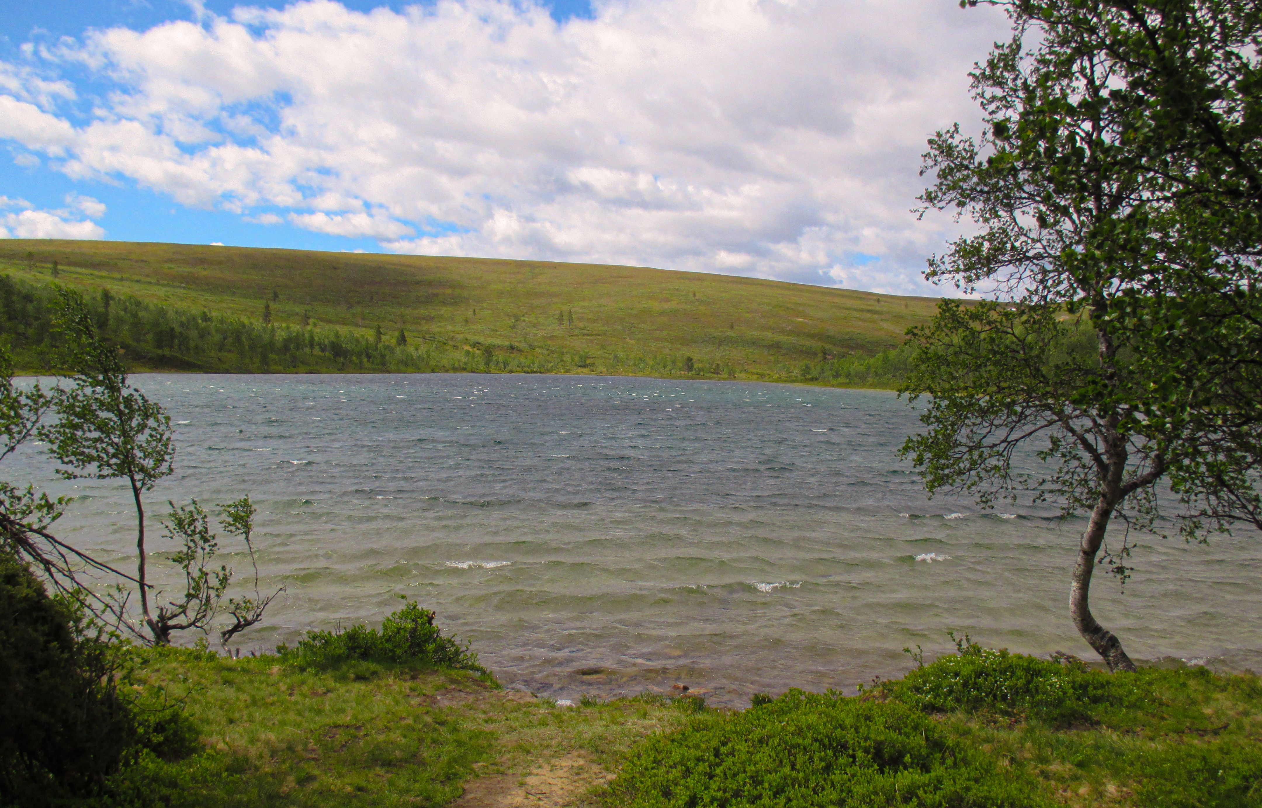 Rautulampi kimaltelee kesäpäivän kirkkaudessa. Kuva: Anne Saloniemi.