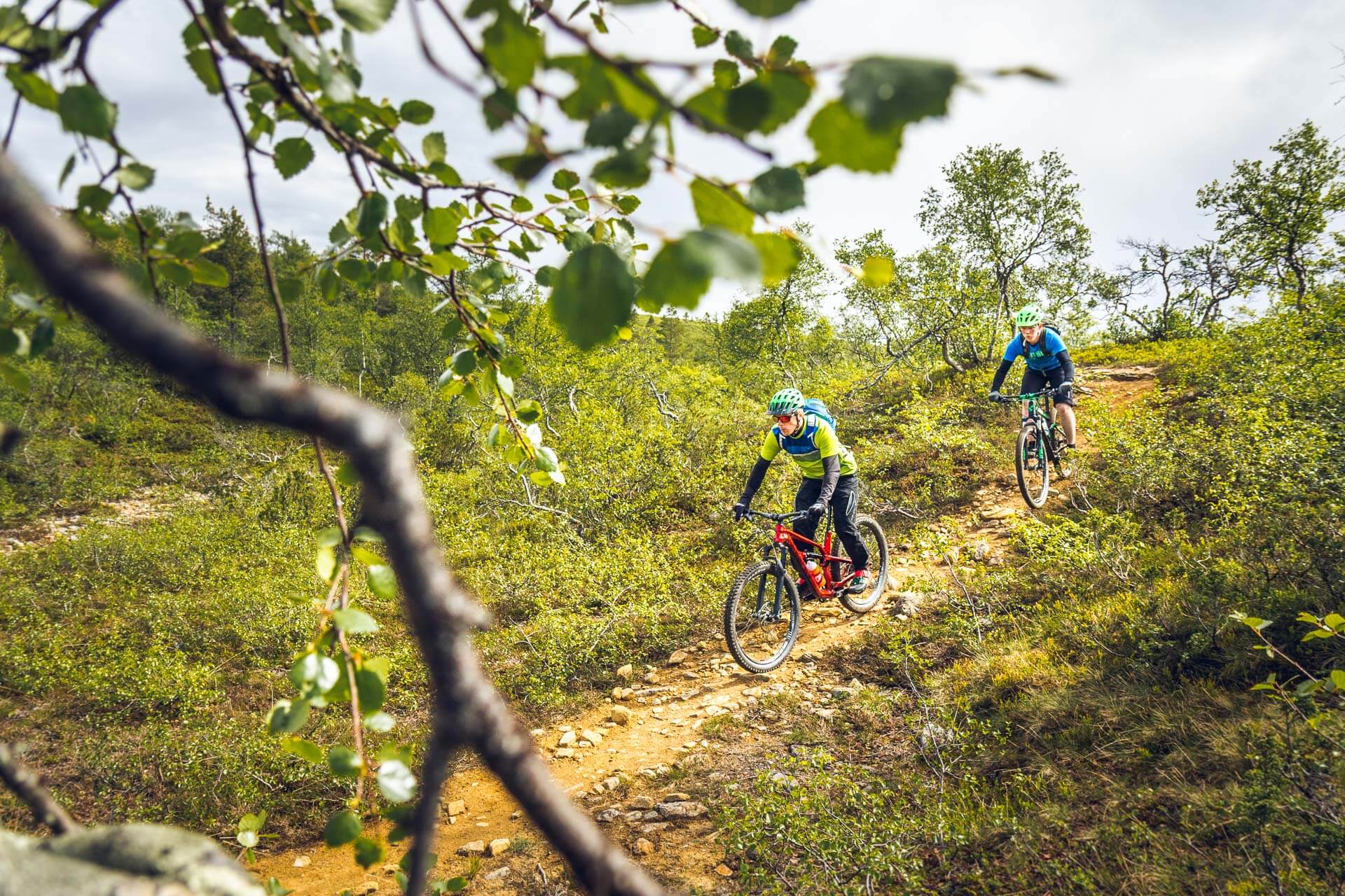 Saariselän polut vaihtelevat mukavasti helposta vaikeaan ja nopeasta hitaaseen. Kuva: Johannes Perkkiö/Roll Outdoors.