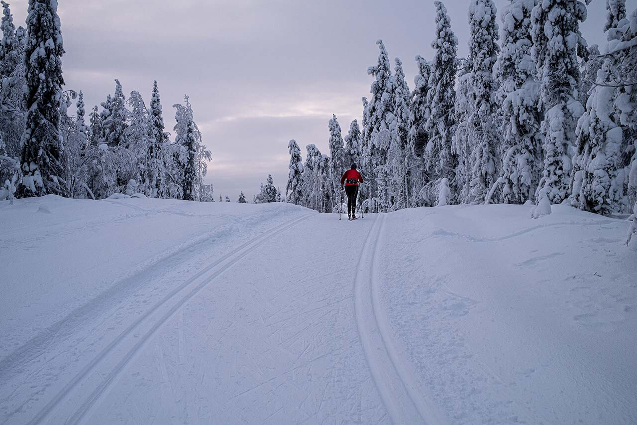Vuosselin latu kulkee mukavasti kumpuilevassa metsämaastossa. Kuva: Tapani Leppänen.