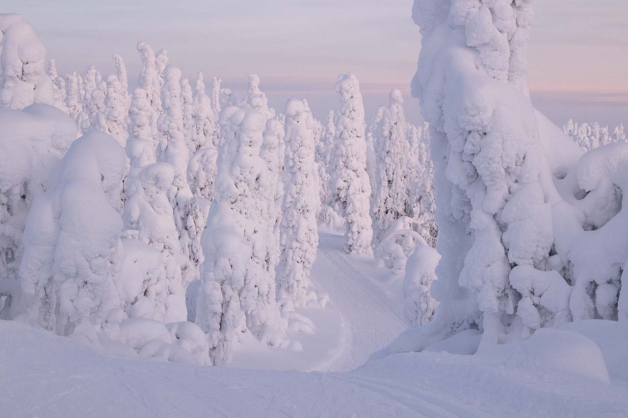 Valtavaaran lakimaita kiertelevä lenkki on yksisuuntainen. Kuva: Tapani Leppänen.