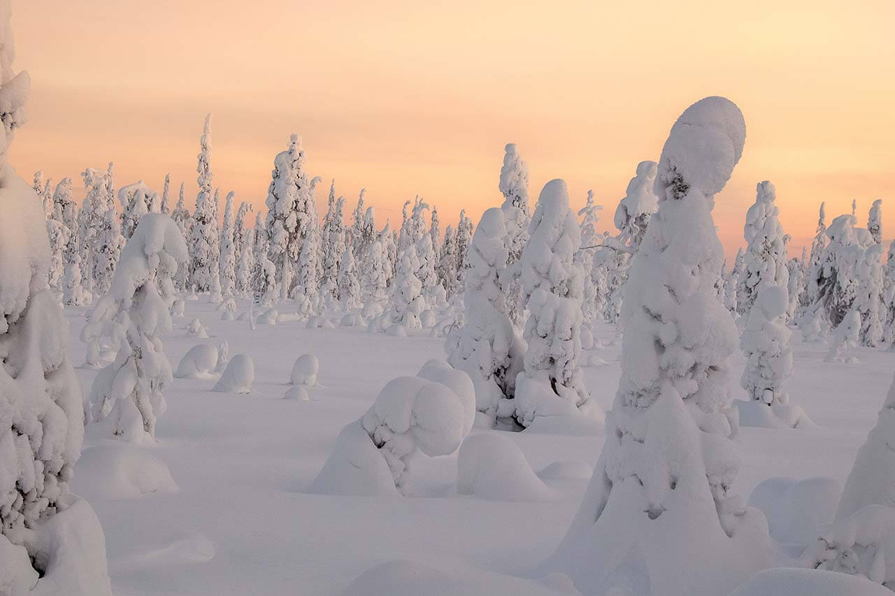 Tykkylumi kuorruttaa Valtavaaran rinteet. Kuva: Tapani Leppänen.