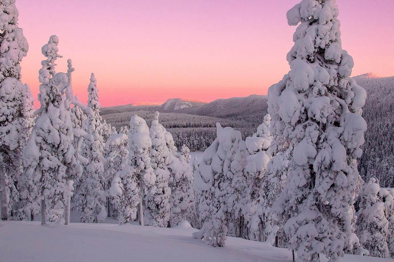 Sydäntalven nouseva aurinko värjää Konttaisen ja Valtavaaran lakimaita. Kuva: Tapani Leppänen.