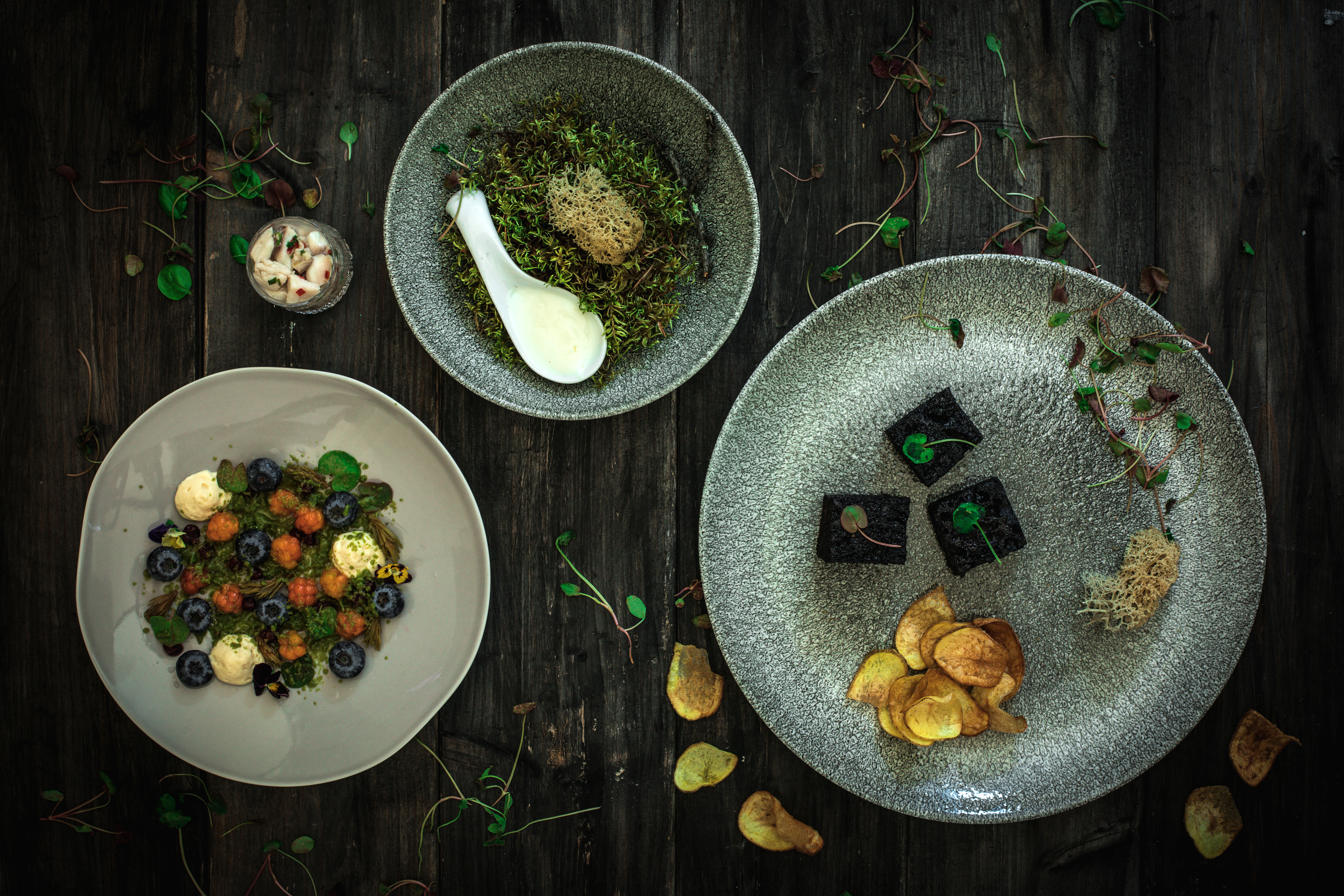 Friteerattu jäkälä on Aaanaarin erikoisuus. Kuva: Mervi Haavisto.