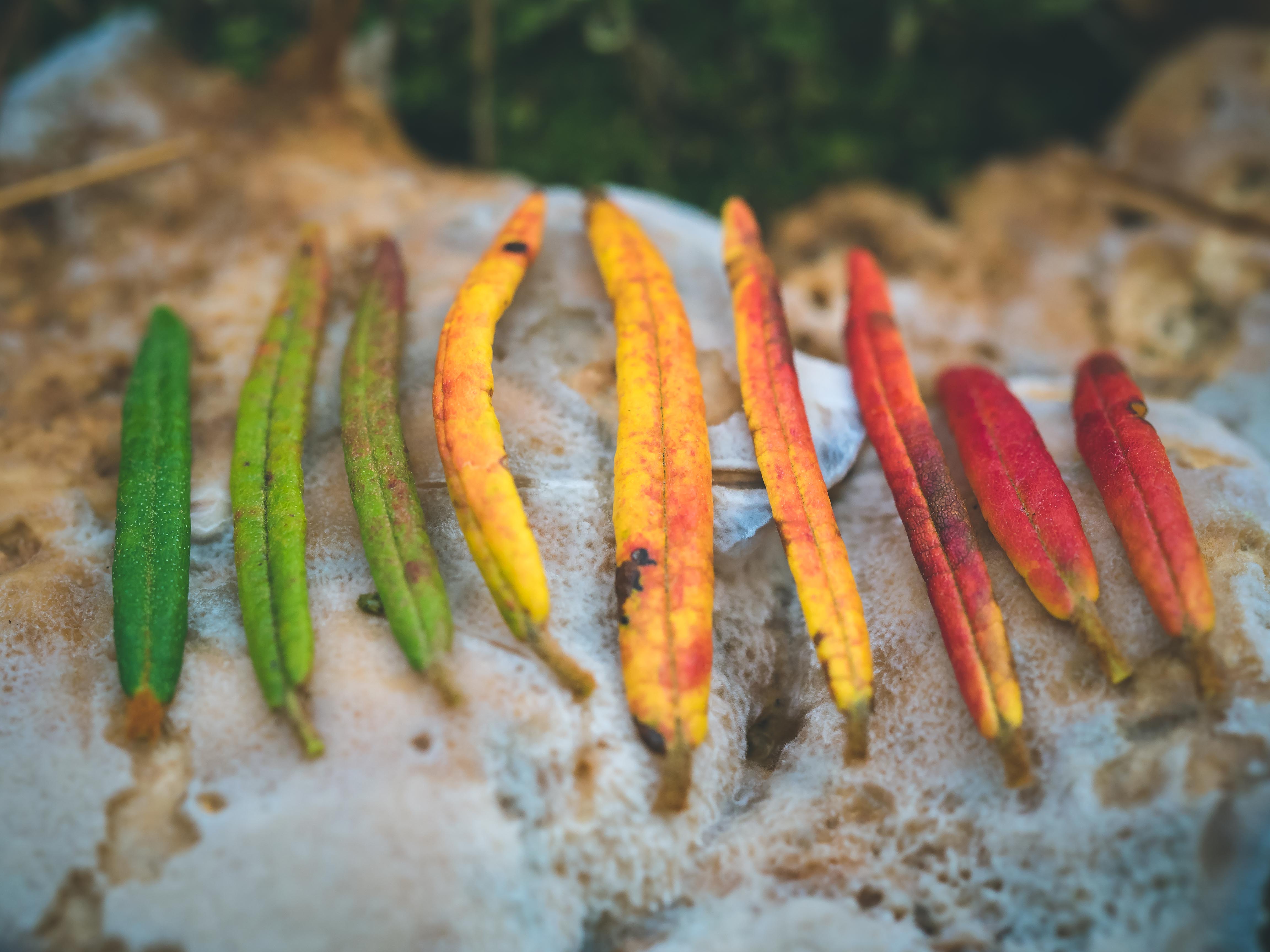 Kuva: Terhi Ilosaari.