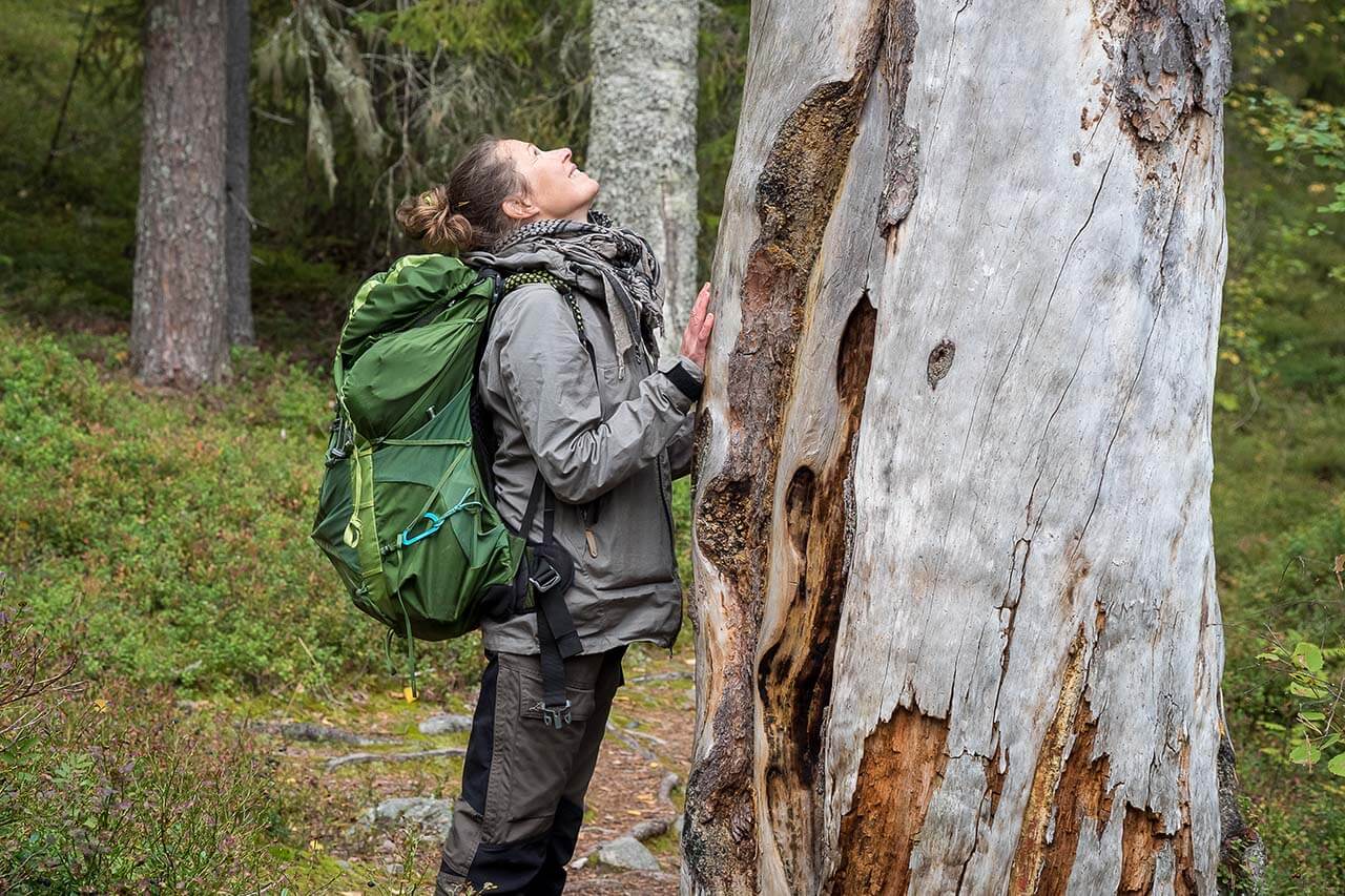 Kuva: Terhi Ilosaari.