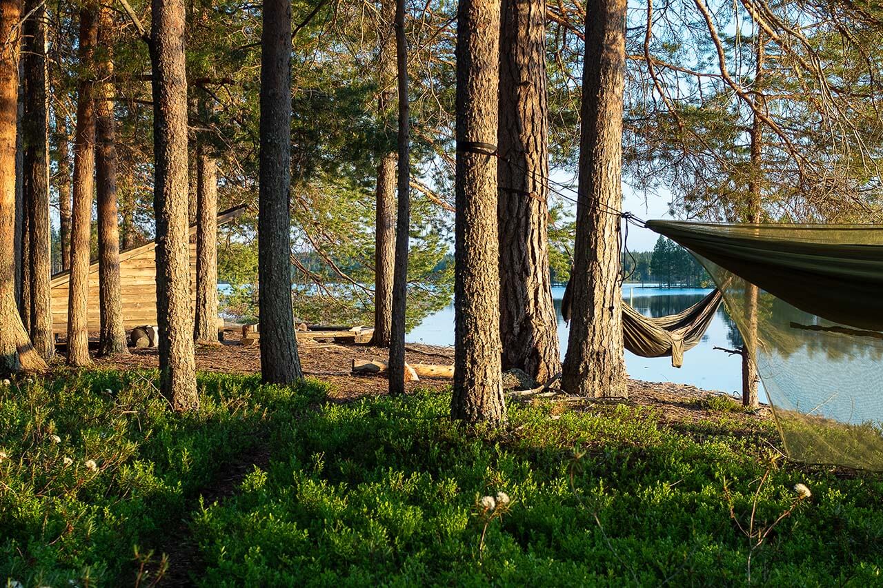 Kuva: Terhi Ilosaari.