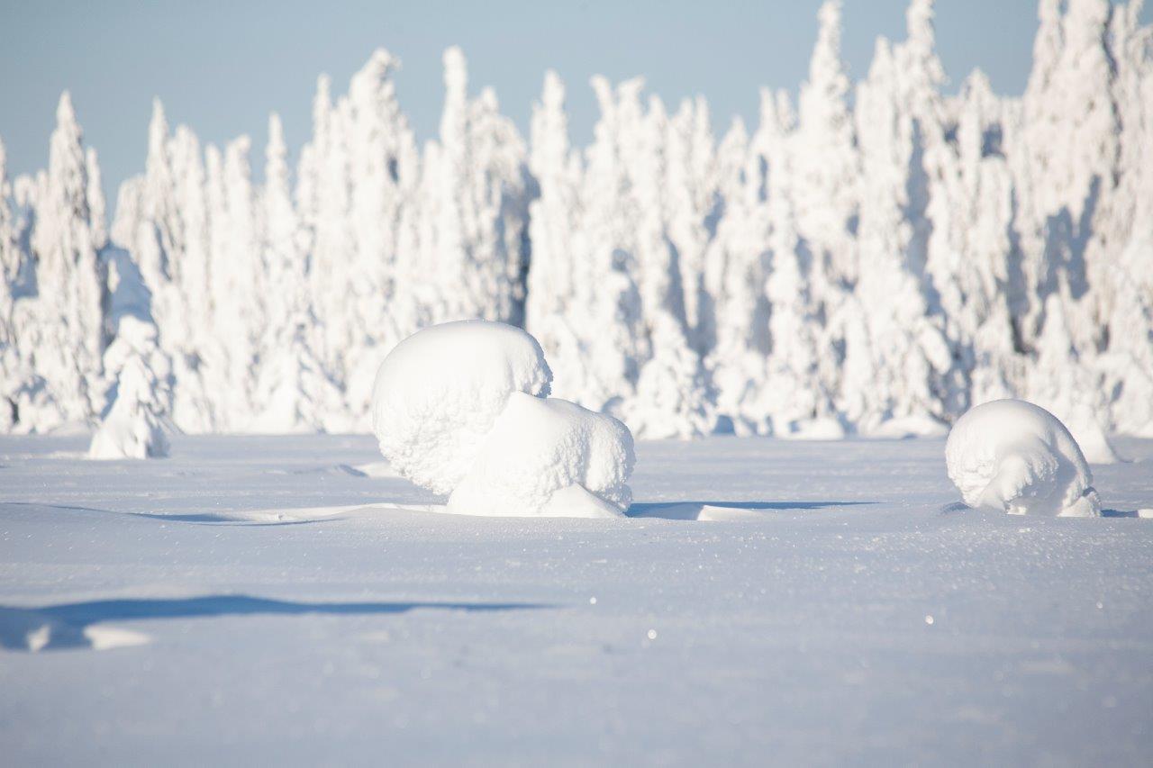 Lumi on fantastinen elementti. Erityisesti tunturissa sen huomaa. Kuvat: Sauli Herva.