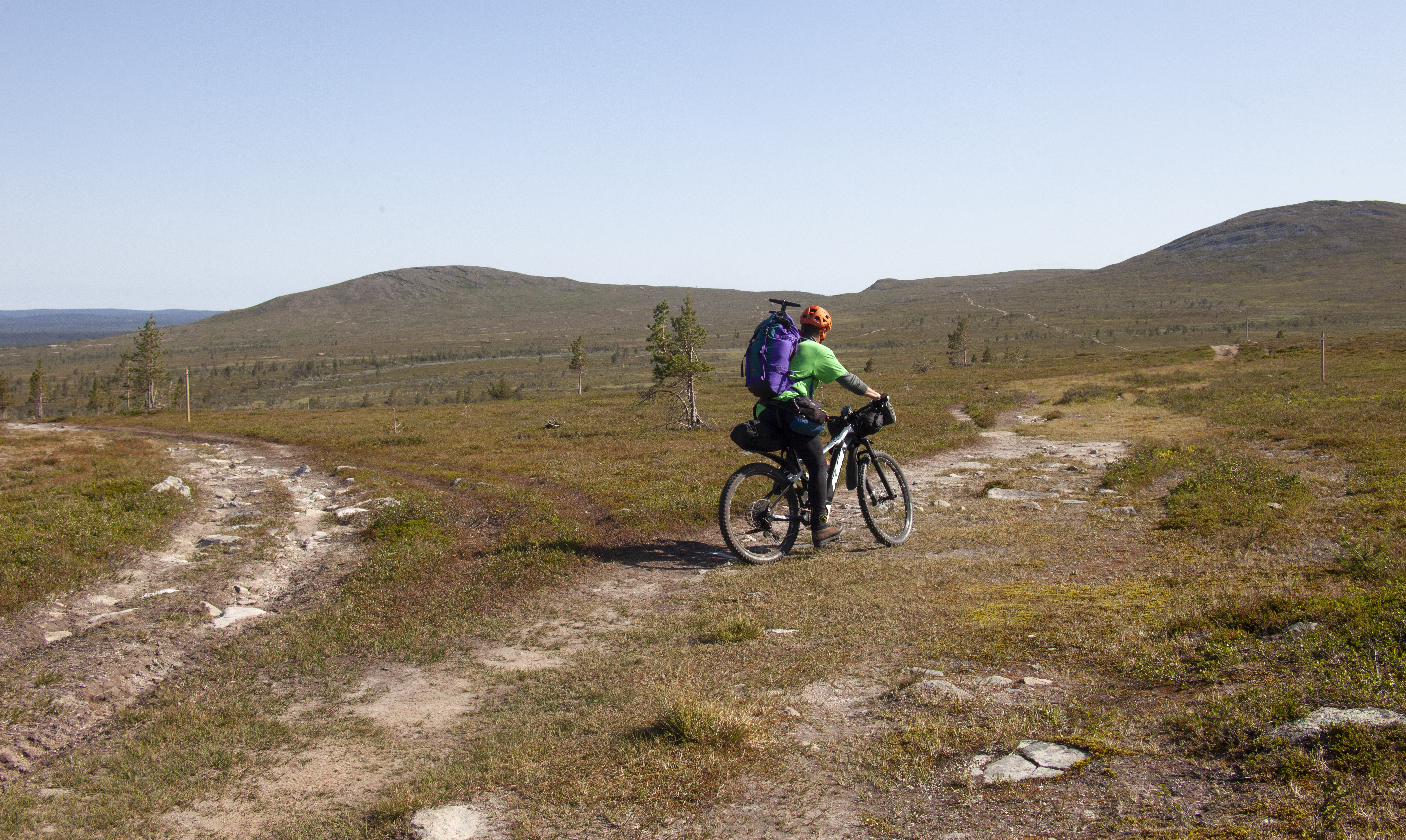 Ounastunturin ylängön avaraa tunturinummea on vuosikymmenten varrella uurtanut maastoon vaeltajien kenkäparien ohella poromiesten mönkijät. Kuva: Sauli Herva.