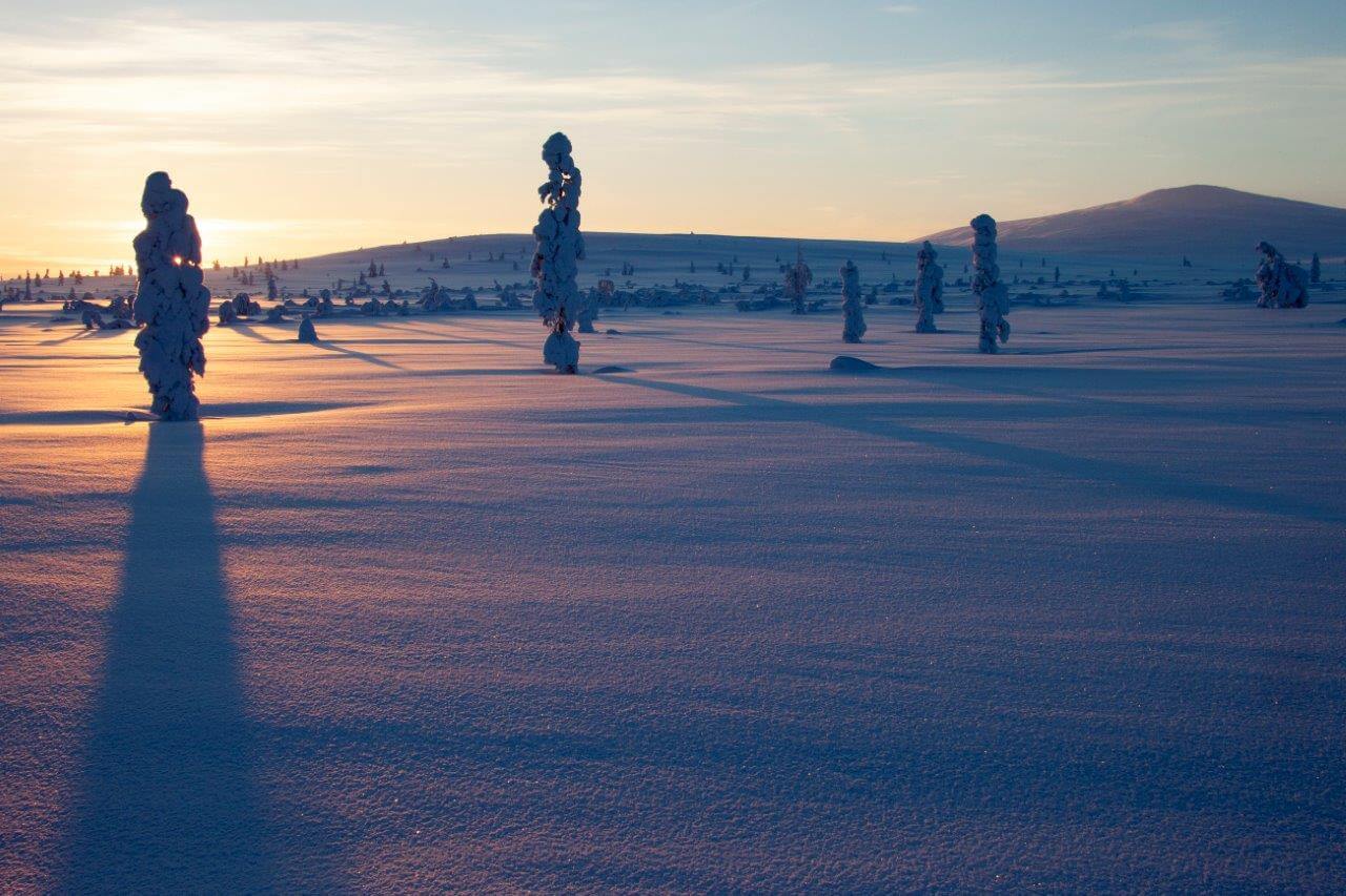 Loivassa talvivalossa luonto, maisemat, metsät ja tunturit näyttävät jotenkin ristiriitaisesti lempeiltä ja uhkaavilta yhtä aikaa.