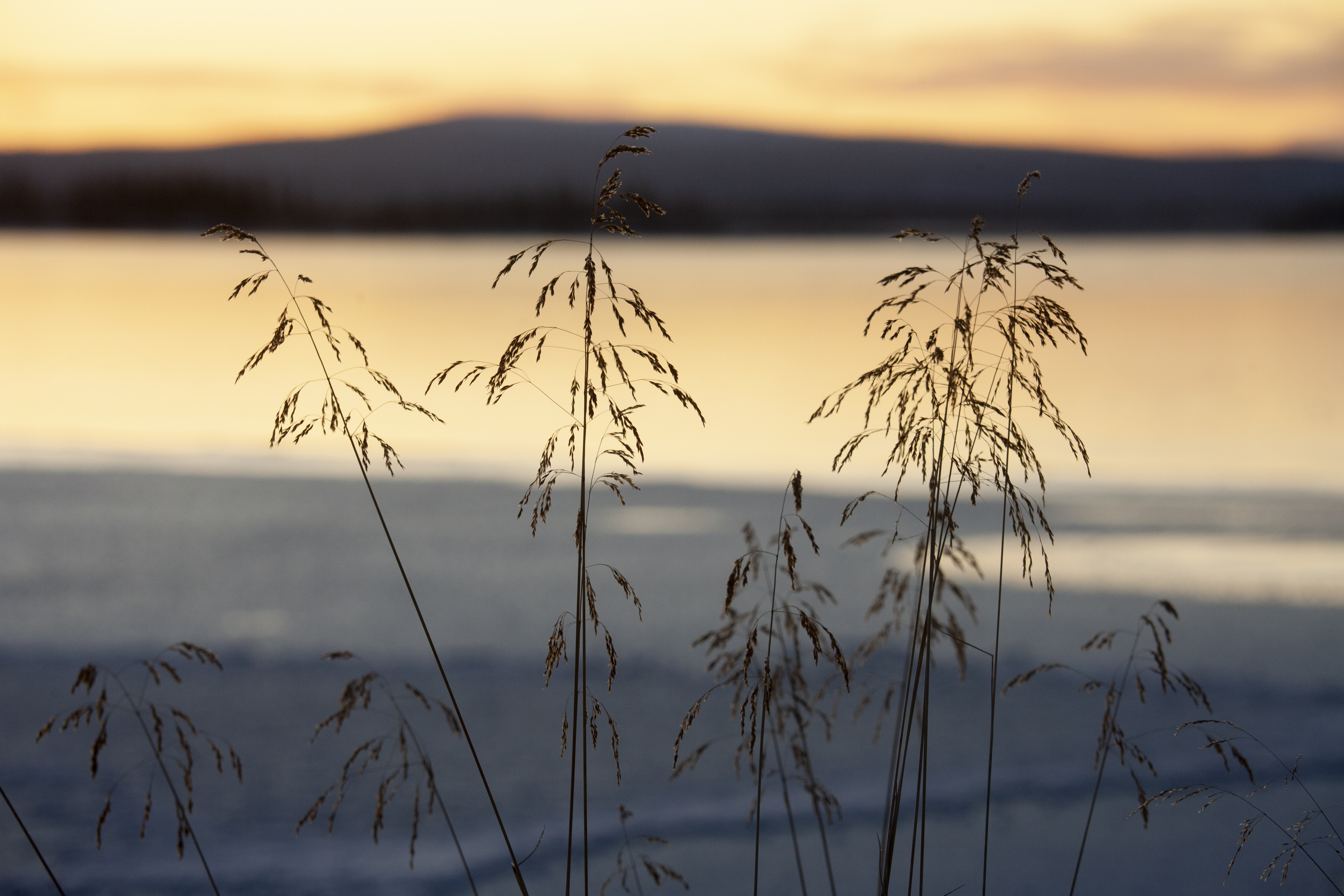 20. lokakuuta, sunnuntai. Tunturilapin talvi tekee tuloaan. Piilopirtin rantasauna lämpenee ja auringonlaskun fantastiset viimeiset punakeltahehkuiset säteet yrittävät luoda lämpöä kylmenevään maisemaan. Kyllä kelpaa potunnostolomalaisten saunanportailla vilvoitella!
