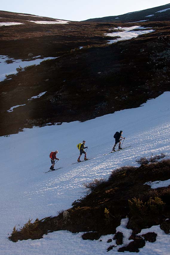 Pehmeä kesäillan valo vaatimalla vaatii nousemaan huipulle vielä kerran. Kuva: Sauli Herva.
