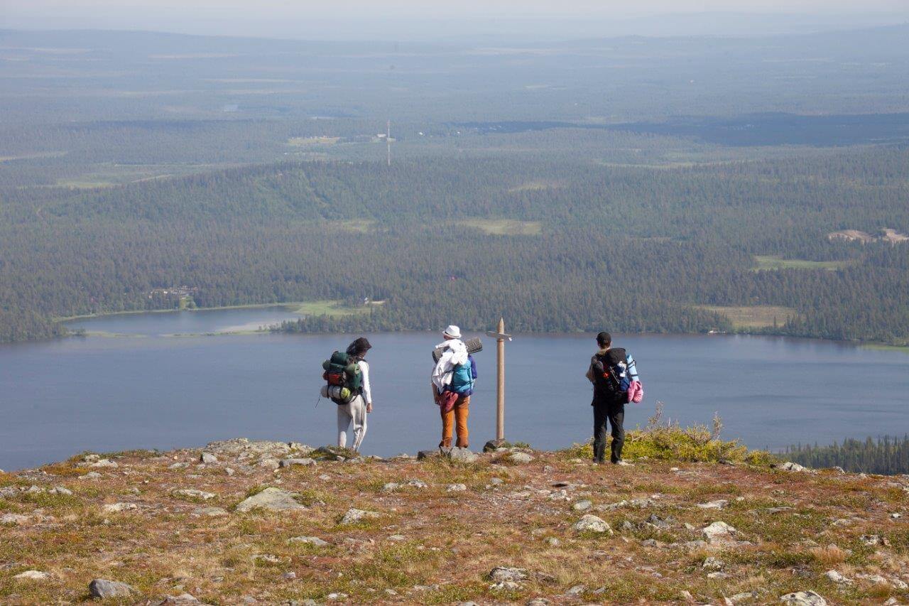 Anodis-maastoa jyrkän äärellä.
