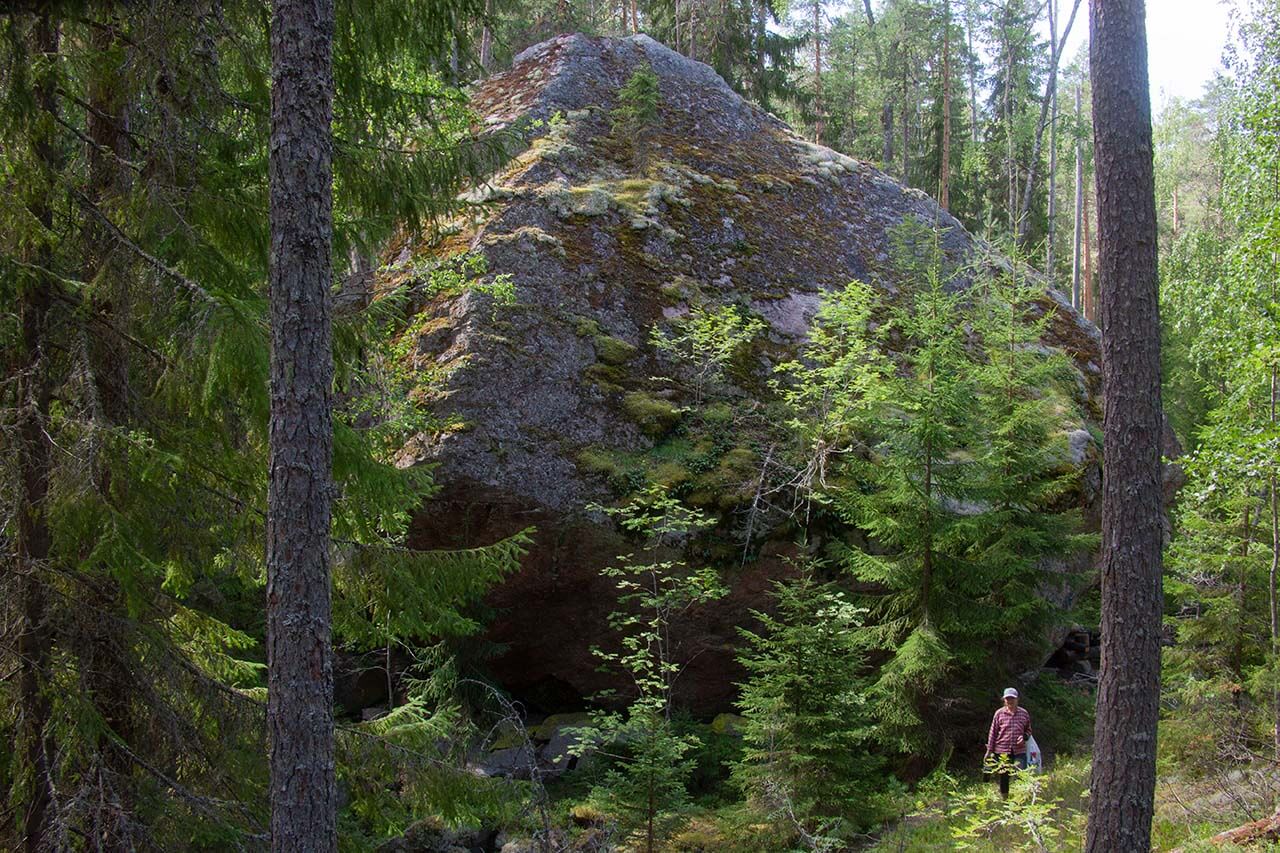 Julunkivi (korkeus 12,5 m) on yksi Suomen suurimmista siirtolohkareista. Kuva: Sauli Herva.