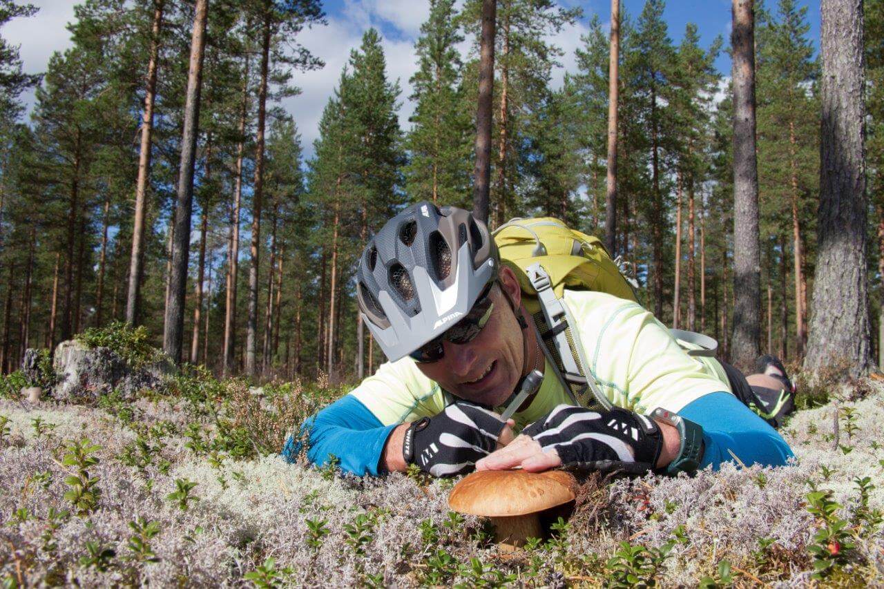Rokuan harjuilla ja karuilla metsäkankailla risteilee patikka- ja pyöräpolkuja monipuolisesti. Kesän ja alkusyksyn sadonkorjuun aikaan juomarepun lisäksi kannattaa ottaa mukaan marjaämpäri tai sienikori. Pienellä vaivalla voi viedä kotiin tai tuliaisiksi aromikkaita ja herkullisia luonnontuotteita.