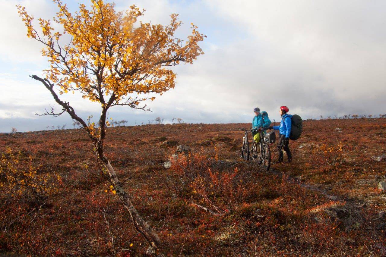 Vähän ennen Tsaarajärveä aurinko suostui pilkistämään pilvien raosta ja hetkiseksi tundran ruska saattoi näyttää kaikkein hienointaan. Kuvat: Sauli Herva.