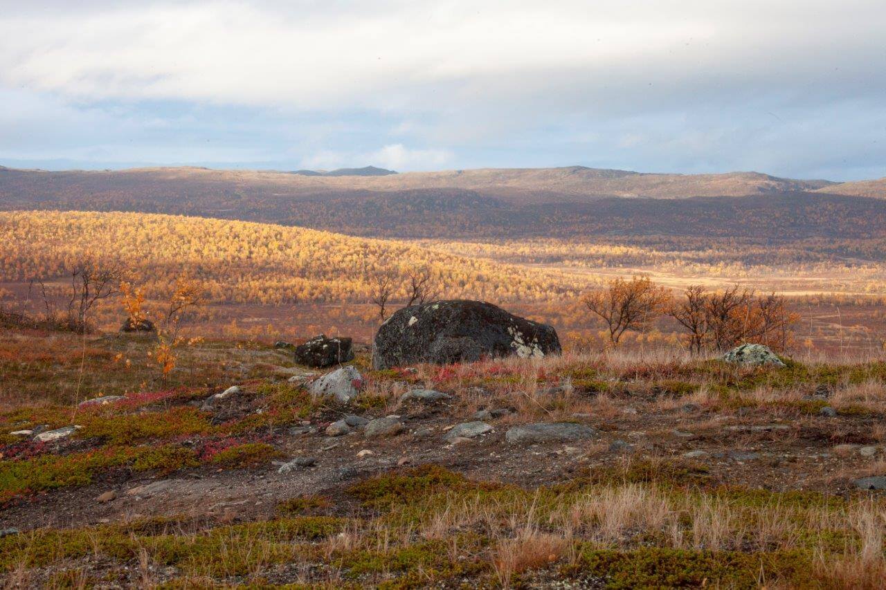 Kaldoaivin maine viimeisenä erämaana perustuu sen kokoon ja etäiseen sijaintiin. Kuva: Sauli Herva.