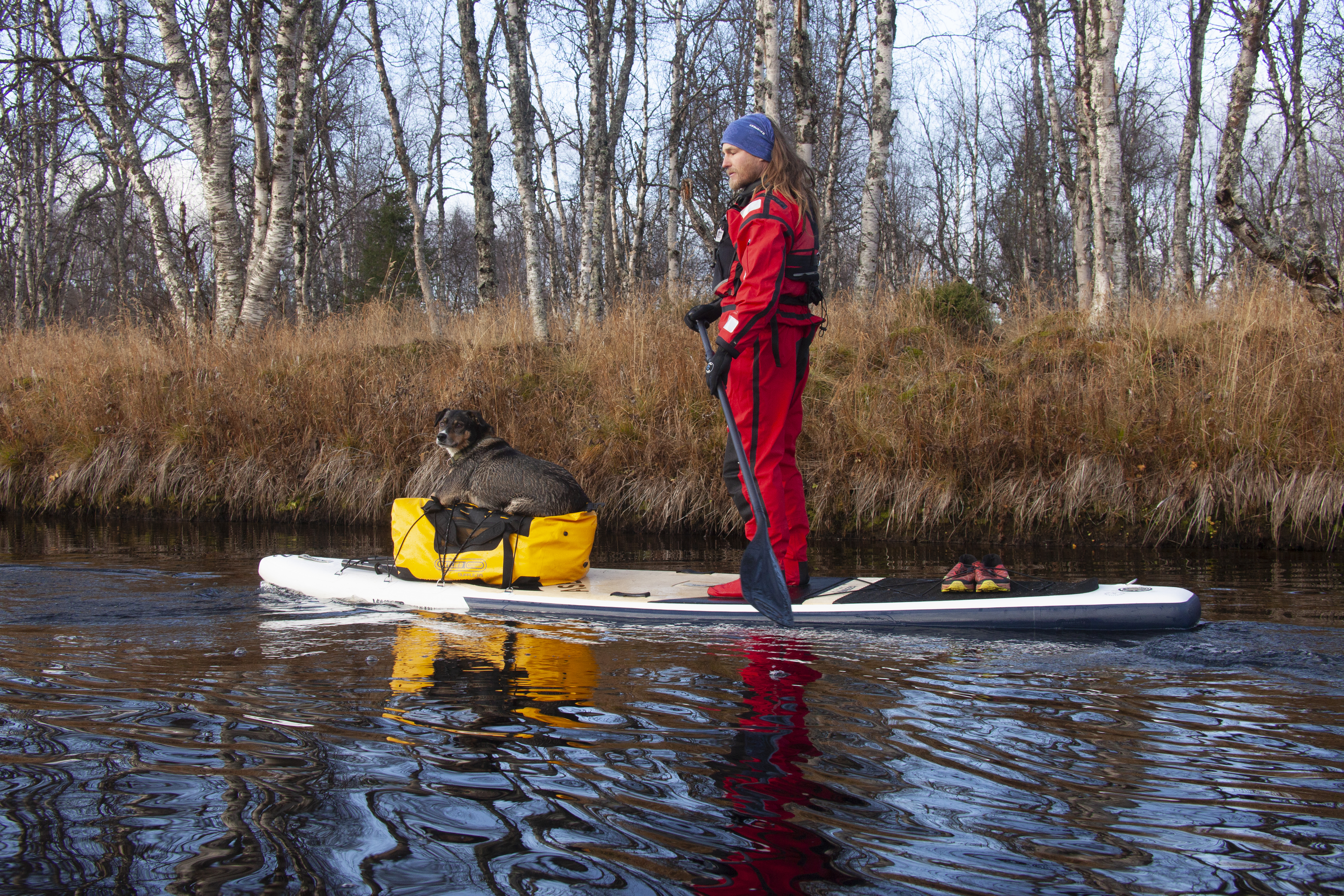Laivakoira Hilu tähystää sopivaa rantautumispaikkaa Hotikaisenmaan taukopaikkaa lähestyttäessä.