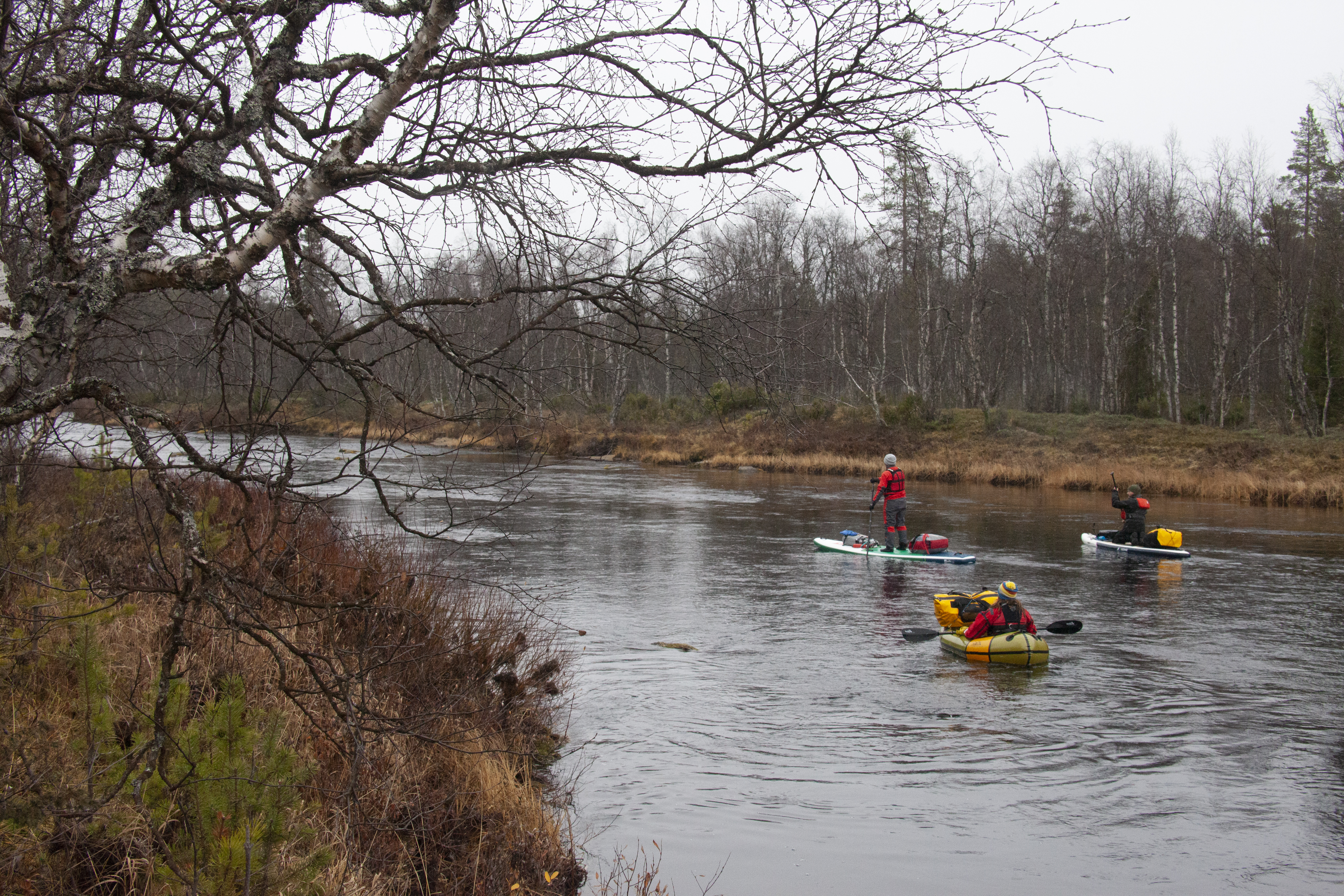 Kurtsinniskan laavulta lähdettäessä Nuorttin rannat selvästi jyrkkenevät ja joki alkaa saada kanjonimaisia piirteitä. Näillä tienoin sijaitsevat harjusten ja taimenien lymypaikat. Packraft tai SUP on oivallinen kulkupeli myös kalamiehelle.