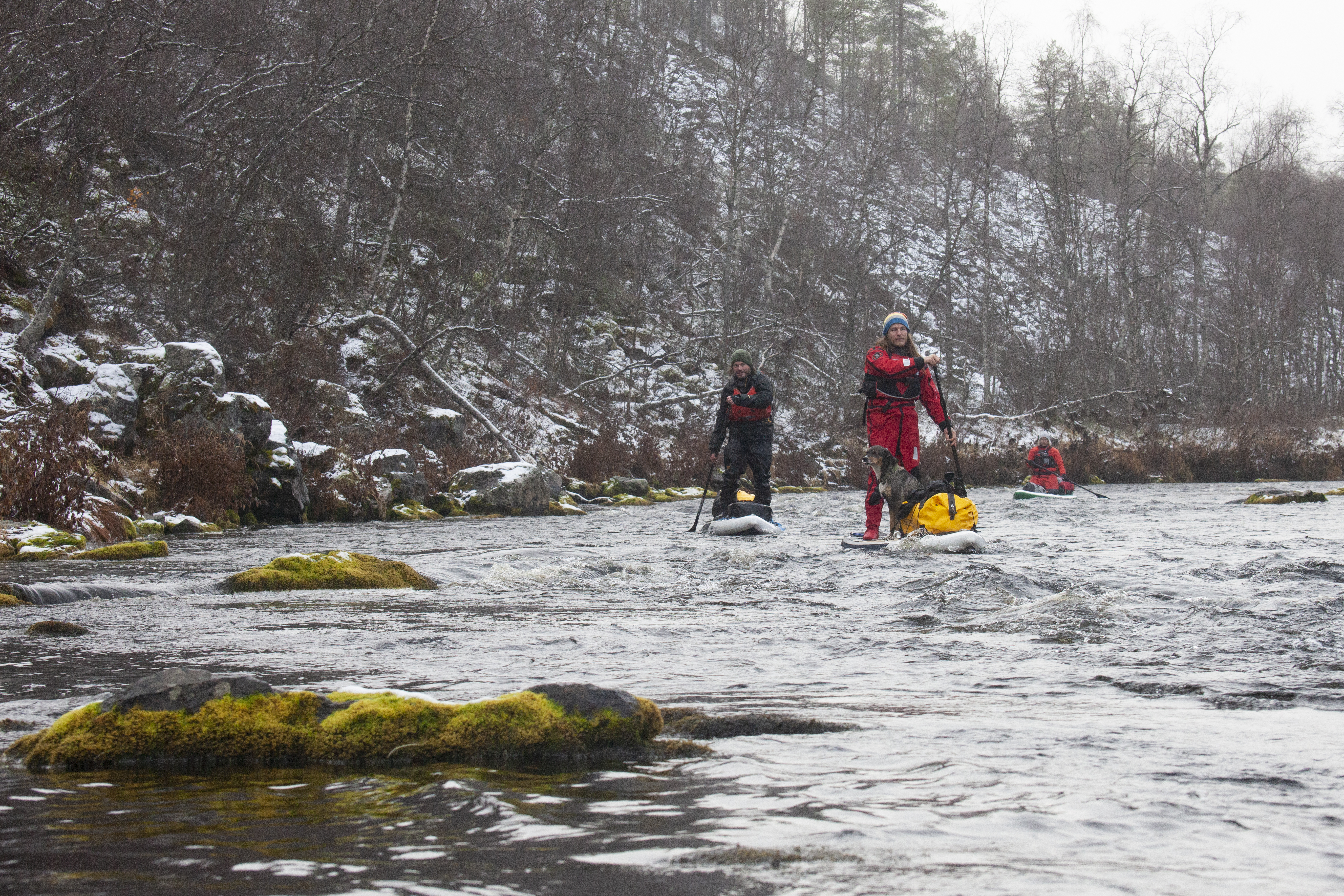 Nuorttikönkään alaosassa virtaus on tasainen ja vauhdikas, suppailijakin voi nousta suorille jaloilleen seisomaan.