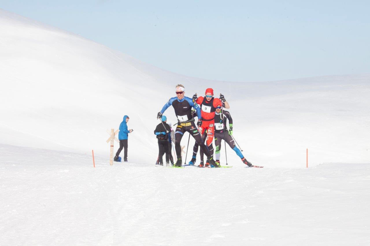 Kärkiryhmän hiihtäjät Iivo Niskanen (1), Remi Lindholm (9) ja Thomas Bing (49) painavat vauhdilla Nammalakurun satulassa, vaikka juuri hetki sitten on kiivetty 280 korkeusmetrinen rankka nousu. Kuvat: Sauli Herva.
