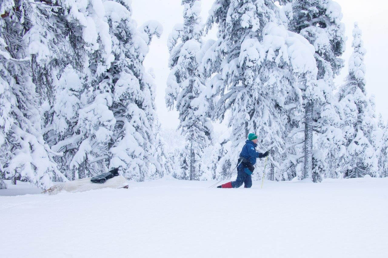 Heti alkutaipaleella tunturin juuren männiköissä kävi päivän selväksi, että tänä talvena umpilunta riittää. Ounastuntureissa ei koko alkutalvena ole ollut oikein kunnollisia tuulia saati suojasäitä, jotka olisivat tehneet lumipatjaan ahkiohiihtäjän kaipaamia kantavia välikerroksia. Kuvat: Sauli Herva.