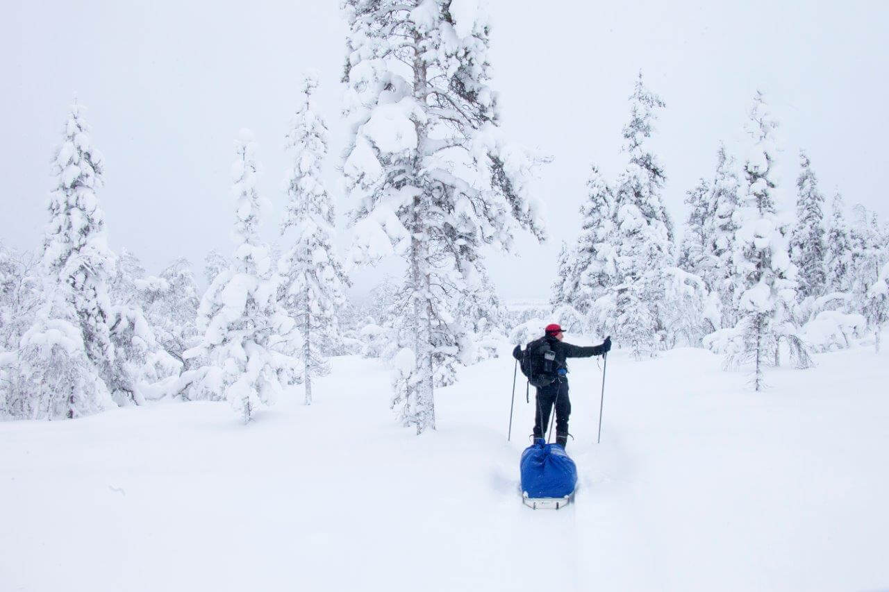 Lumitunturit ovat jääneet selän taakse ja edessä levittäytyy avara ja tutkimaton Pippovuoma.