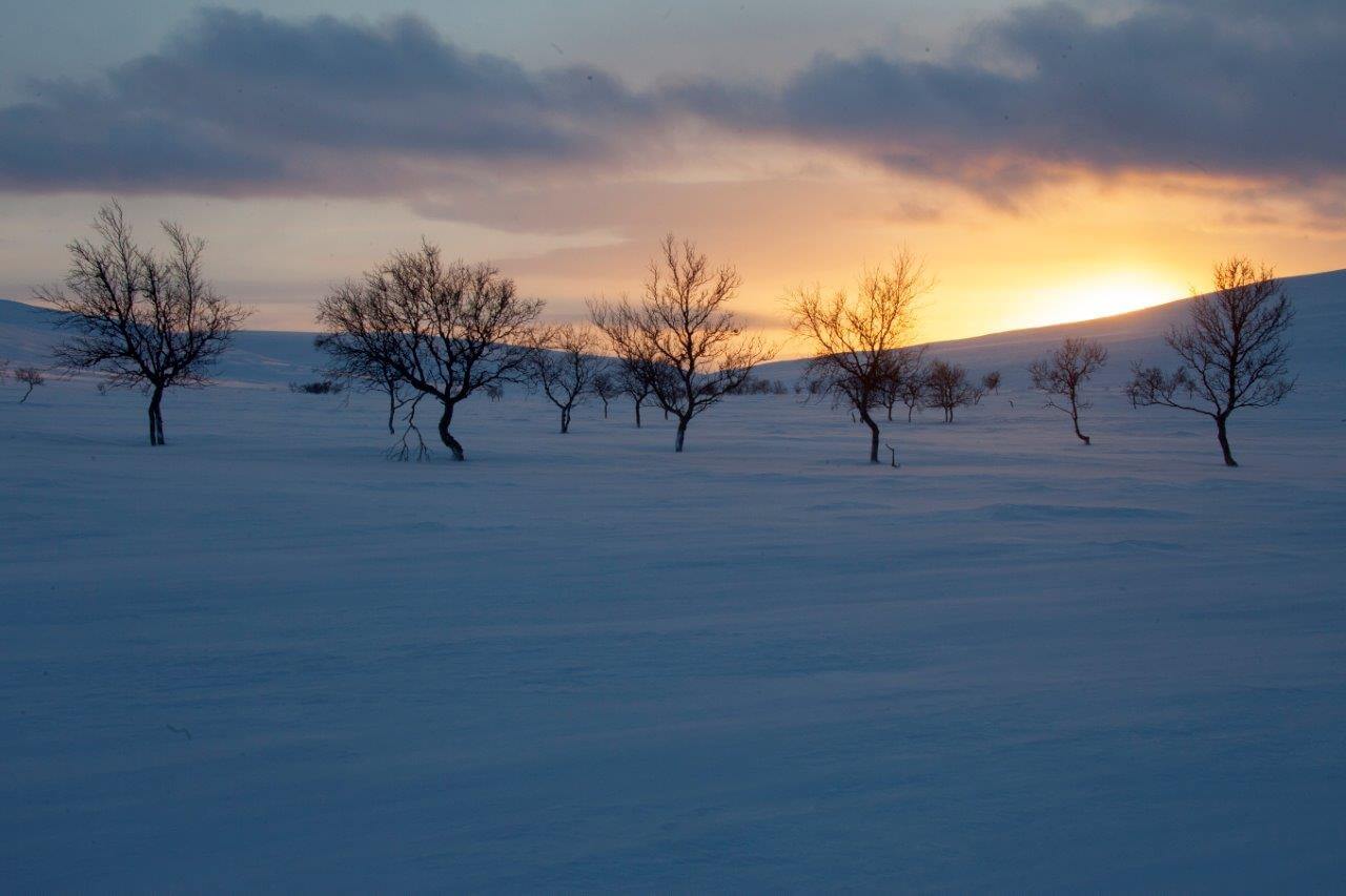 Erämaissa siellä jossakin, keskellä ei mitään.