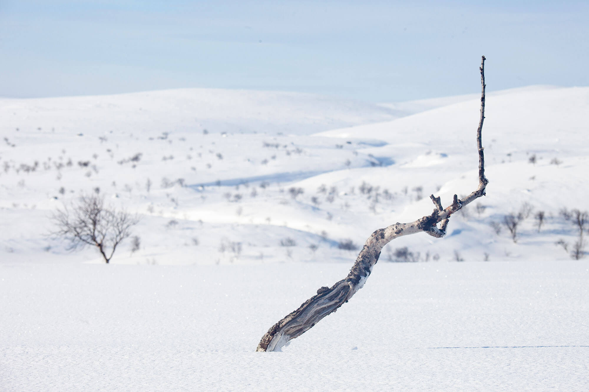 Kiireinen mieli rauhoittuu ja sielu lepää Paistunturien erämaan autiudessa. Kuva: Sauli Herva.