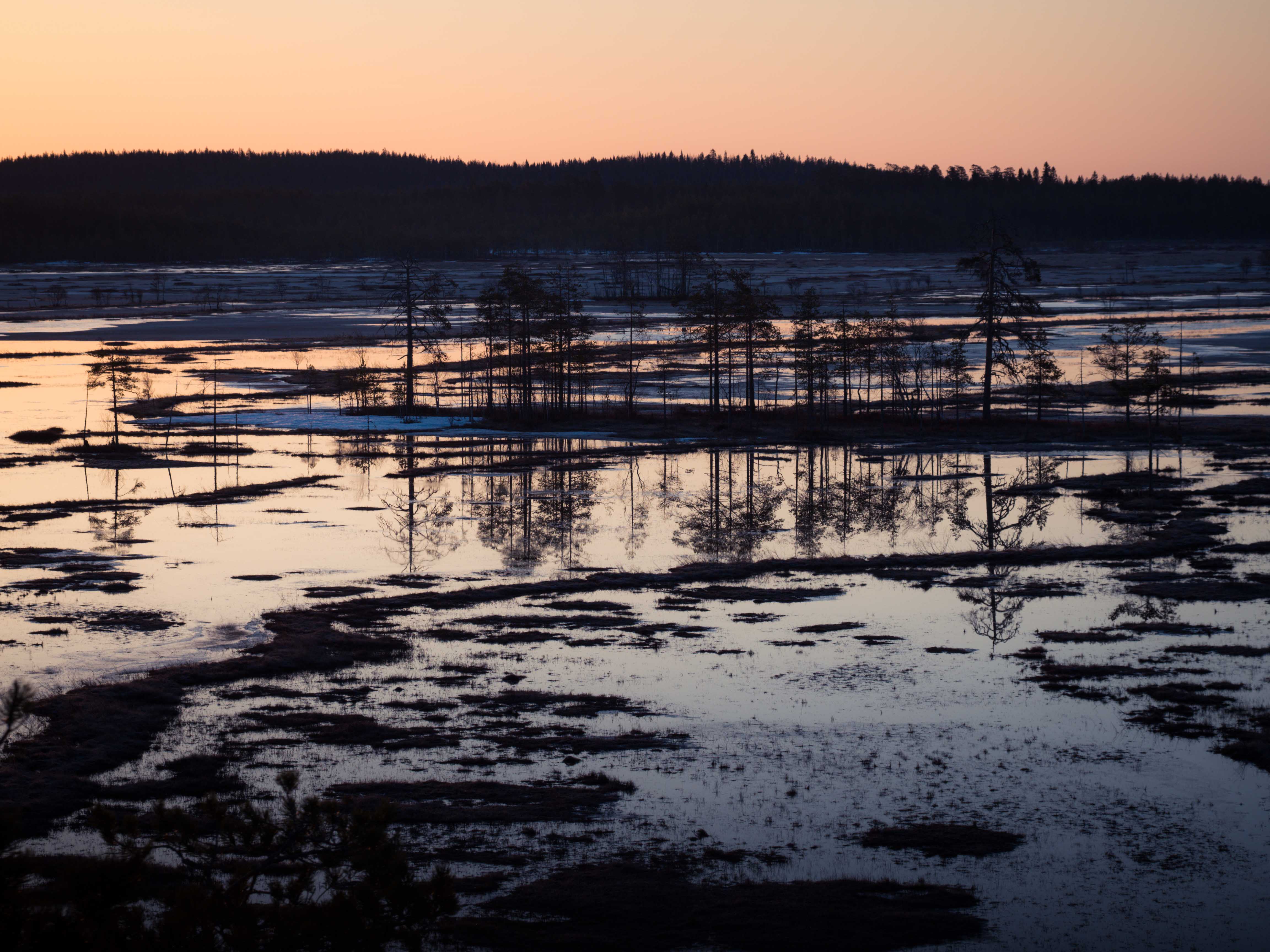 Susitaival on noin 95 kilometrin mittainen vaellusreitti, jonka voi kulkea Ilomantsin Möhköstä Patvinsuon kansallispuistoon tai toisin päin. Kuvat: Terhi Ilosaari.