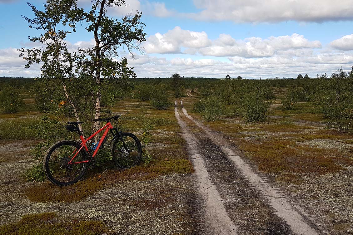 Tarvantovaaran mönkijäurat sopivat hyvin seikkailuhenkiseen maastopyöräilyyn. Kuva: Jouni Laaksonen.