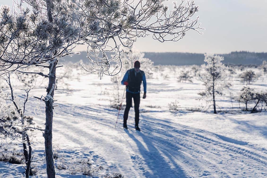 Kuva: Tapani Leppänen.