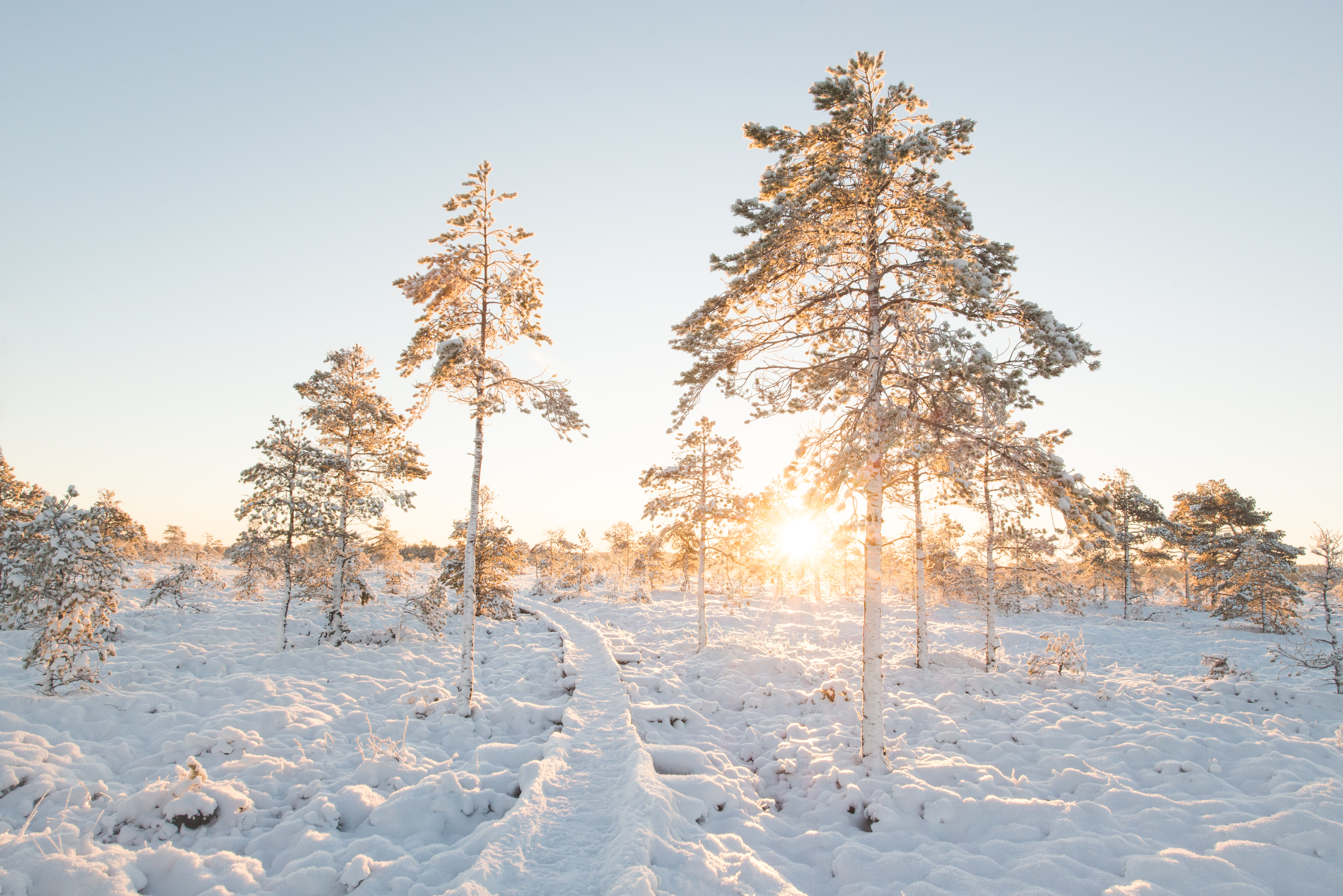 Torronsuo on helppo retkikohde koko perheelle Kanta-Hämeessä Tammelassa. Suolle tehdään lumitilanteen salliessa hiihtoladut.