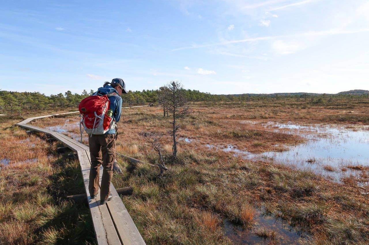 Torronsuon kruununjalokivi. Kuvat: Jonna Saari.