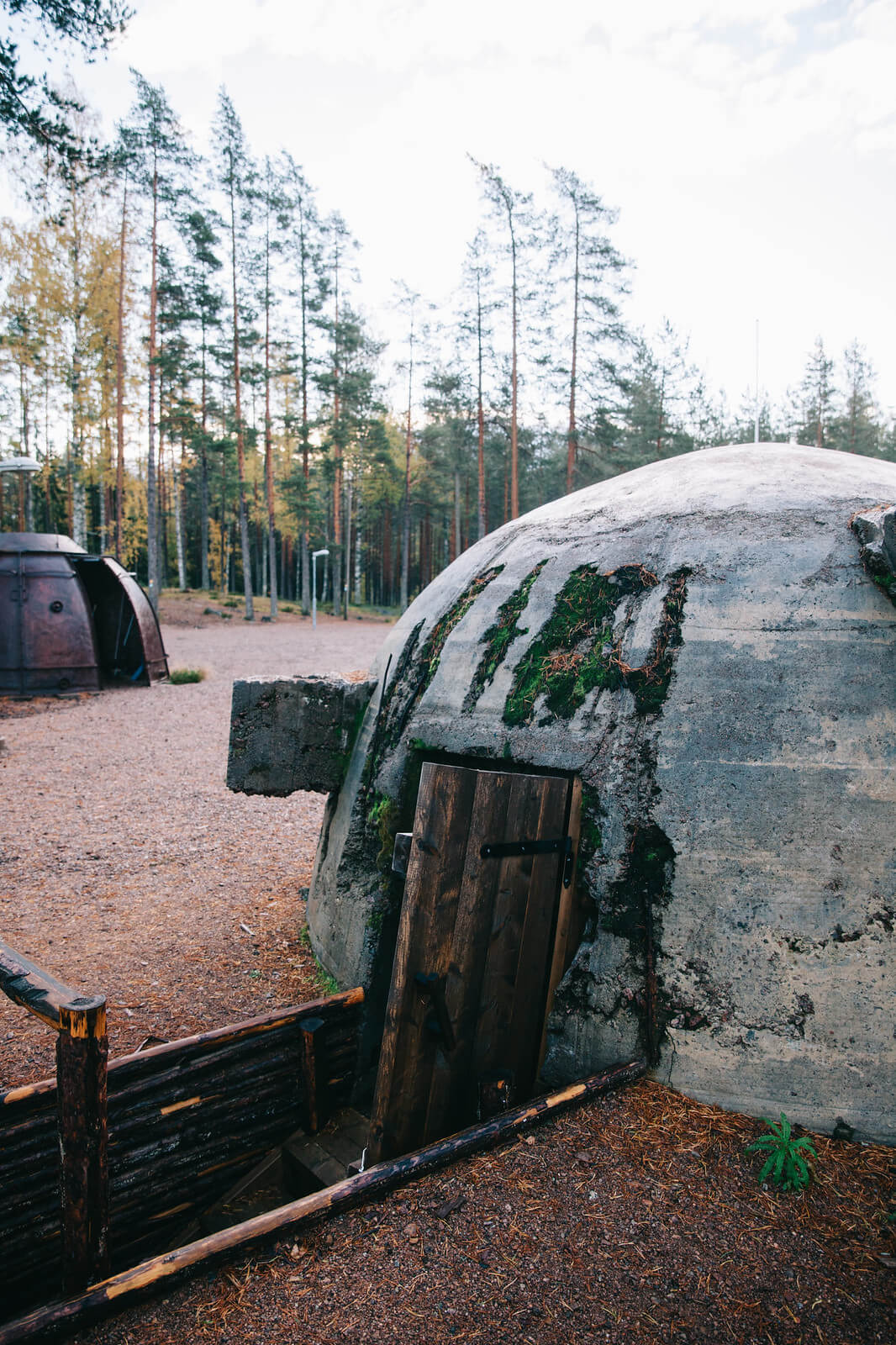 Pallokorsu on nimensä mukaisesti pallon muotoinen. Kuva: Marinella Himari.