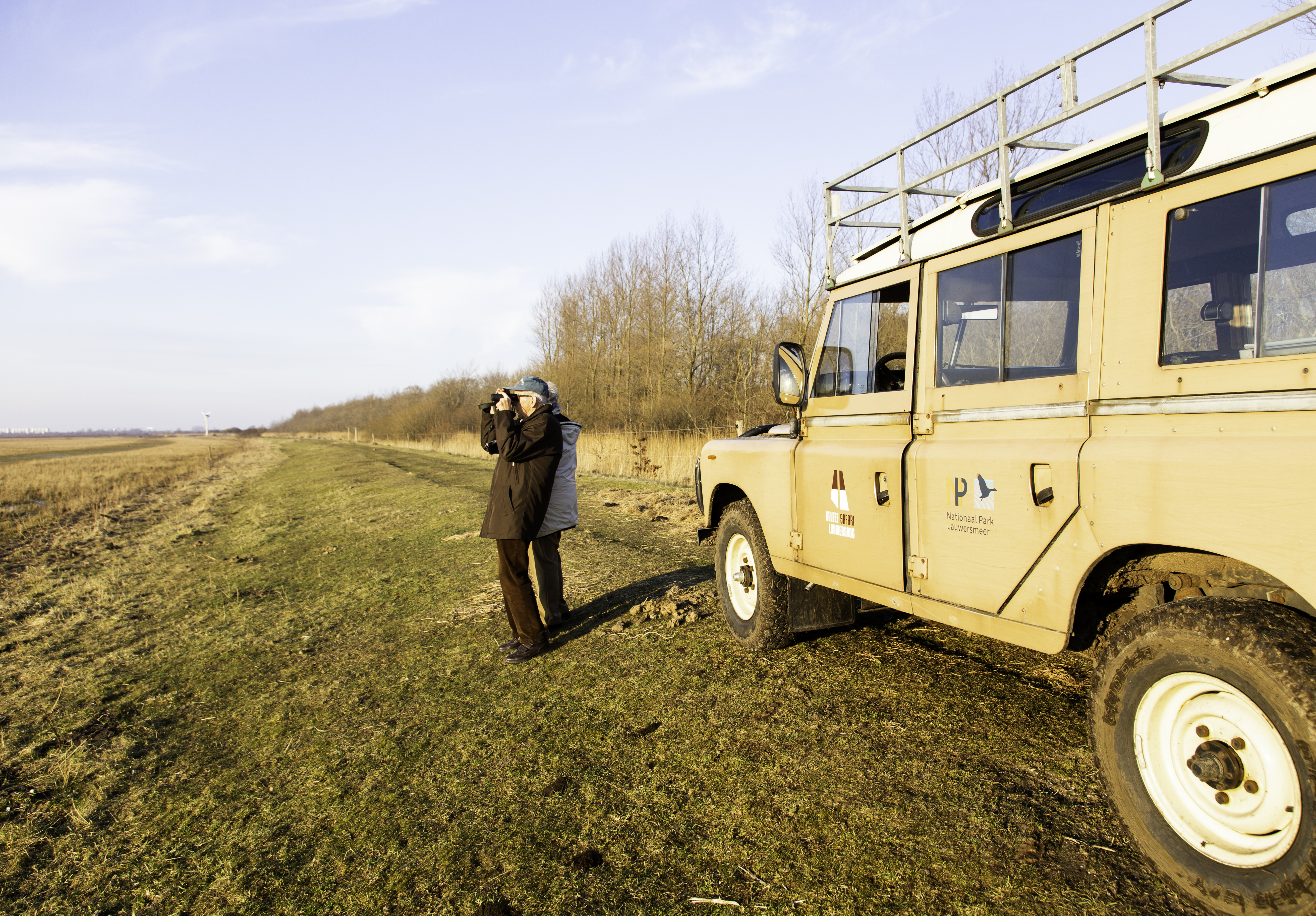 Valkoposkihanhia matkalla Vattimeren yöpymispaikoilta rannikon pelloille ja Lauwersmeerin kansallispuiston rannoille ruokailemaan