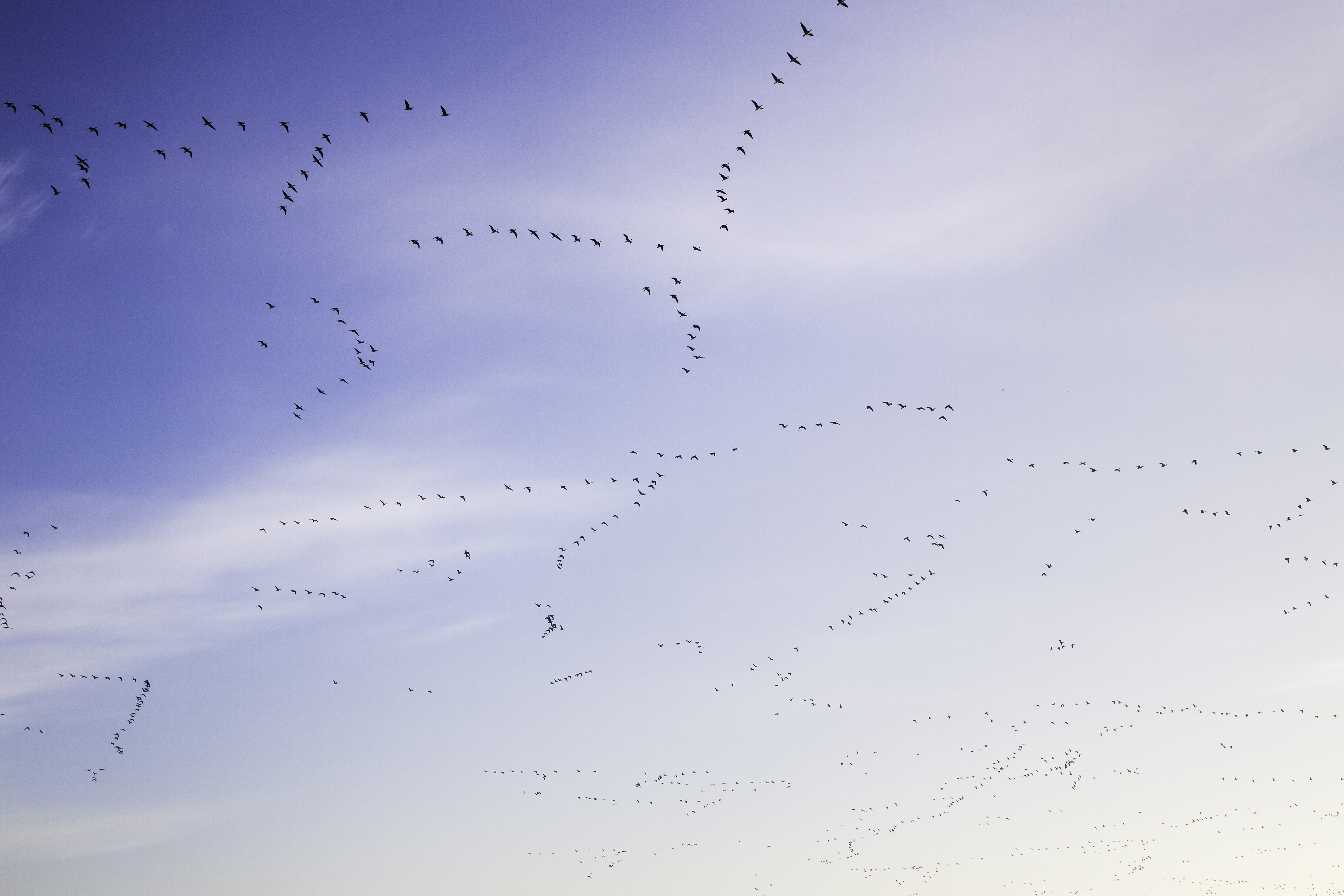 Lauwersmeerin kansallispuistossa voi osallistua maastoautolla tehtäville retkille. Järjestetyillä retkillä pääsee alueille, mitkä muuten ovat kävijöiden tavoittamattomissa.