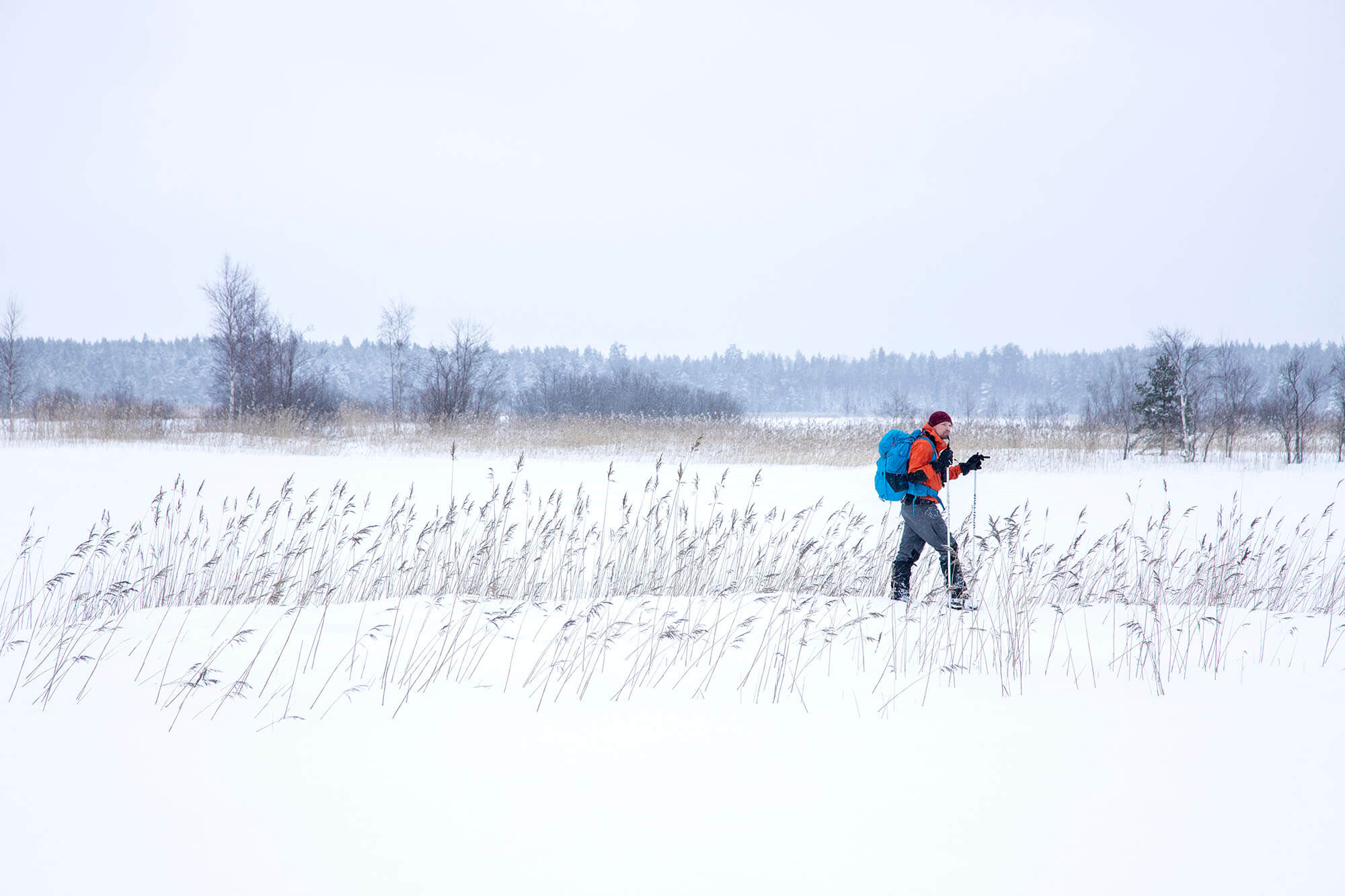 Valkmusan kansallispuisto on talvisin hiljainen. Kuva: Markus Sirkka.