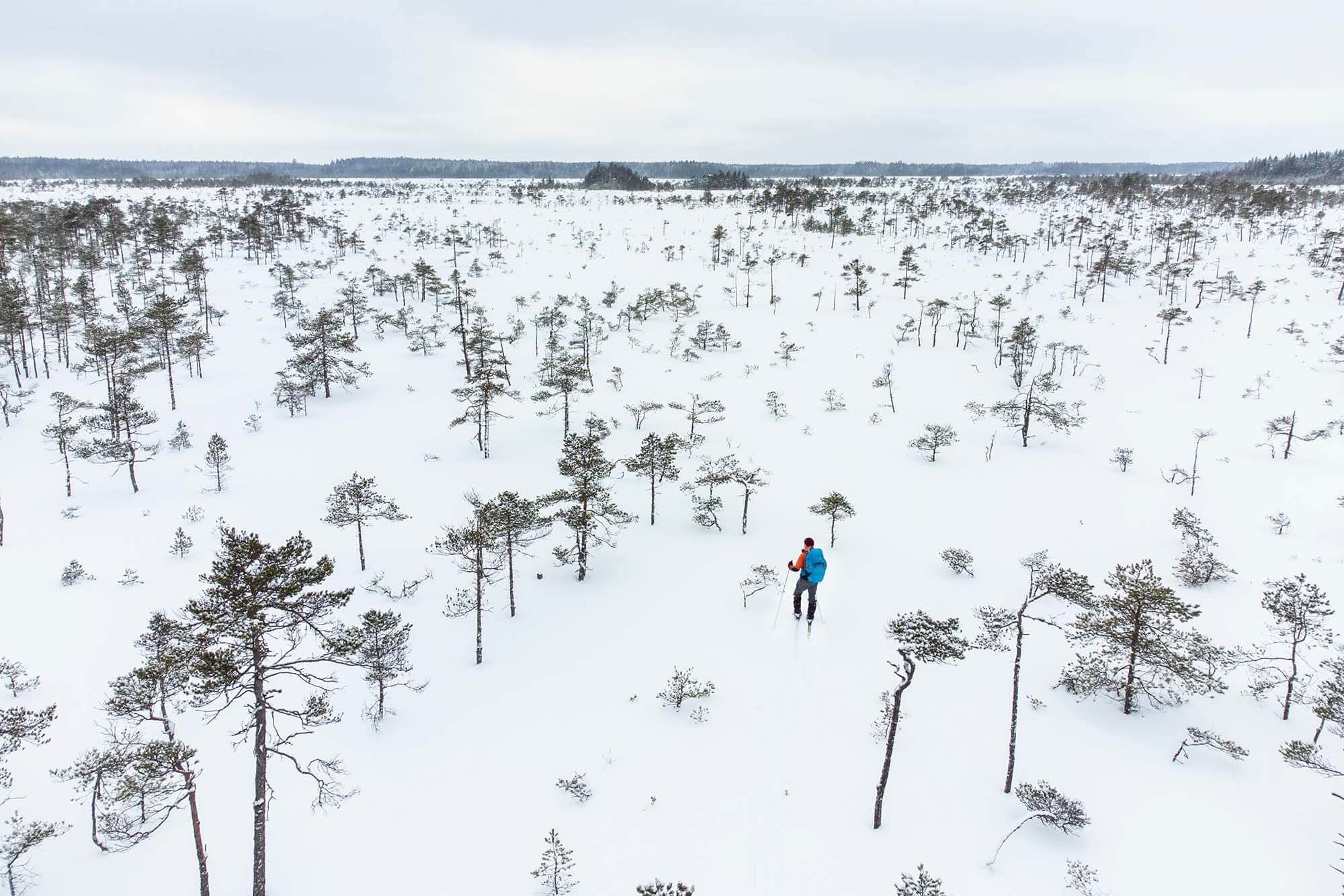 Talvinen suo avautuu hiihtäjälle. Kuva: Markus Sirkka.