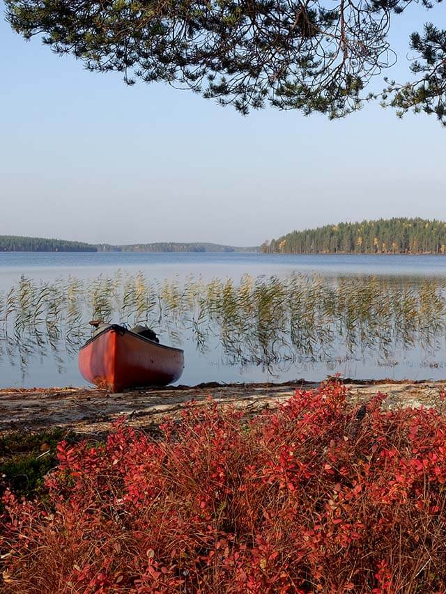 Lämminhiekka oli viimeinen taukopaikkamme Viiksimonjoen retkellä. Kuva: Jouni Laaksonen.