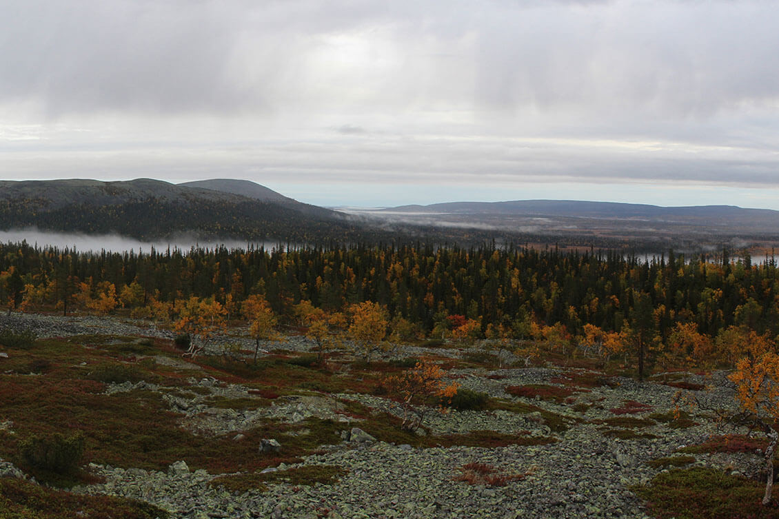 [05] Ylläs-Aakenus. Kuva: Jouni Laaksonen.